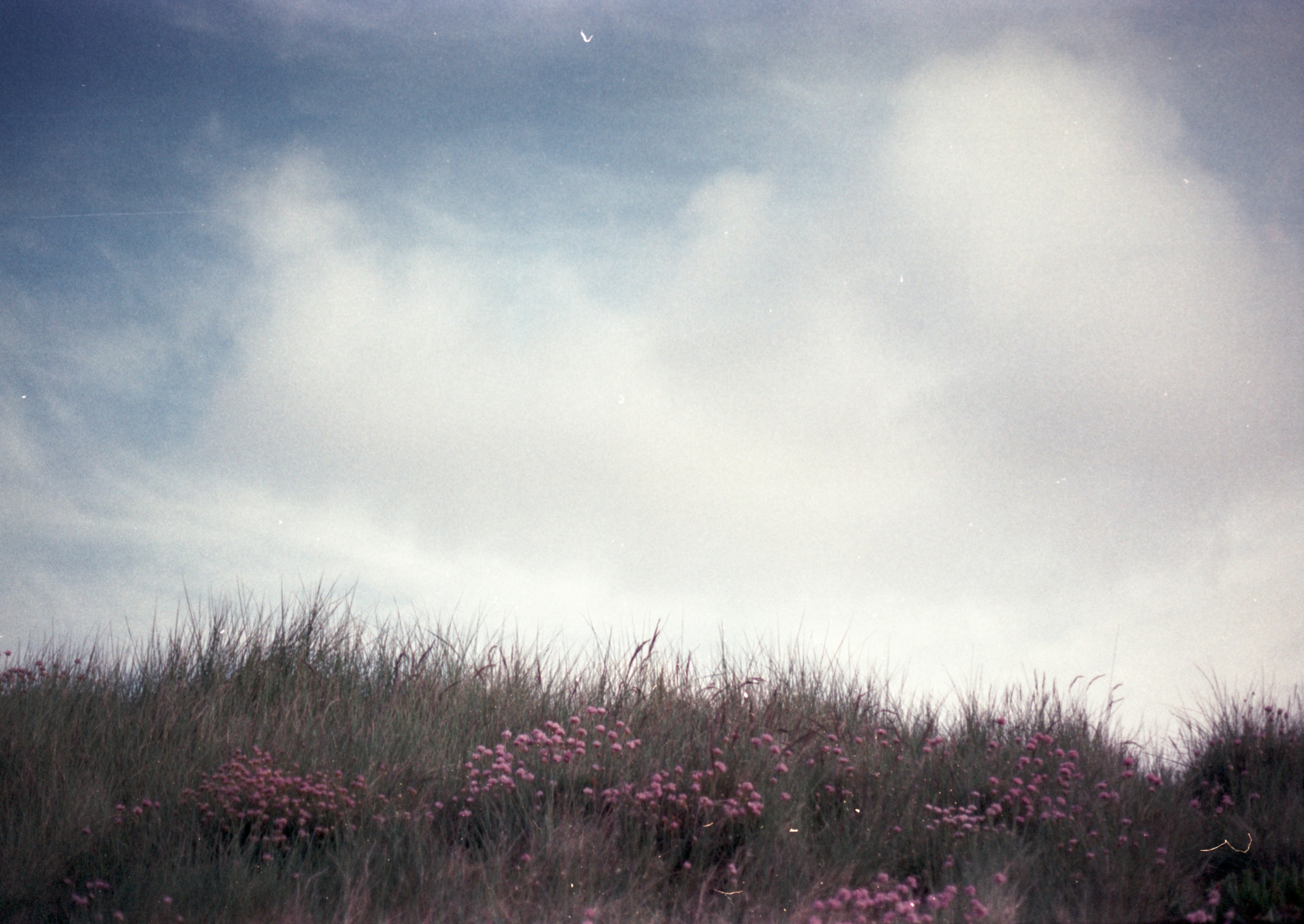 Photo by anniespratt