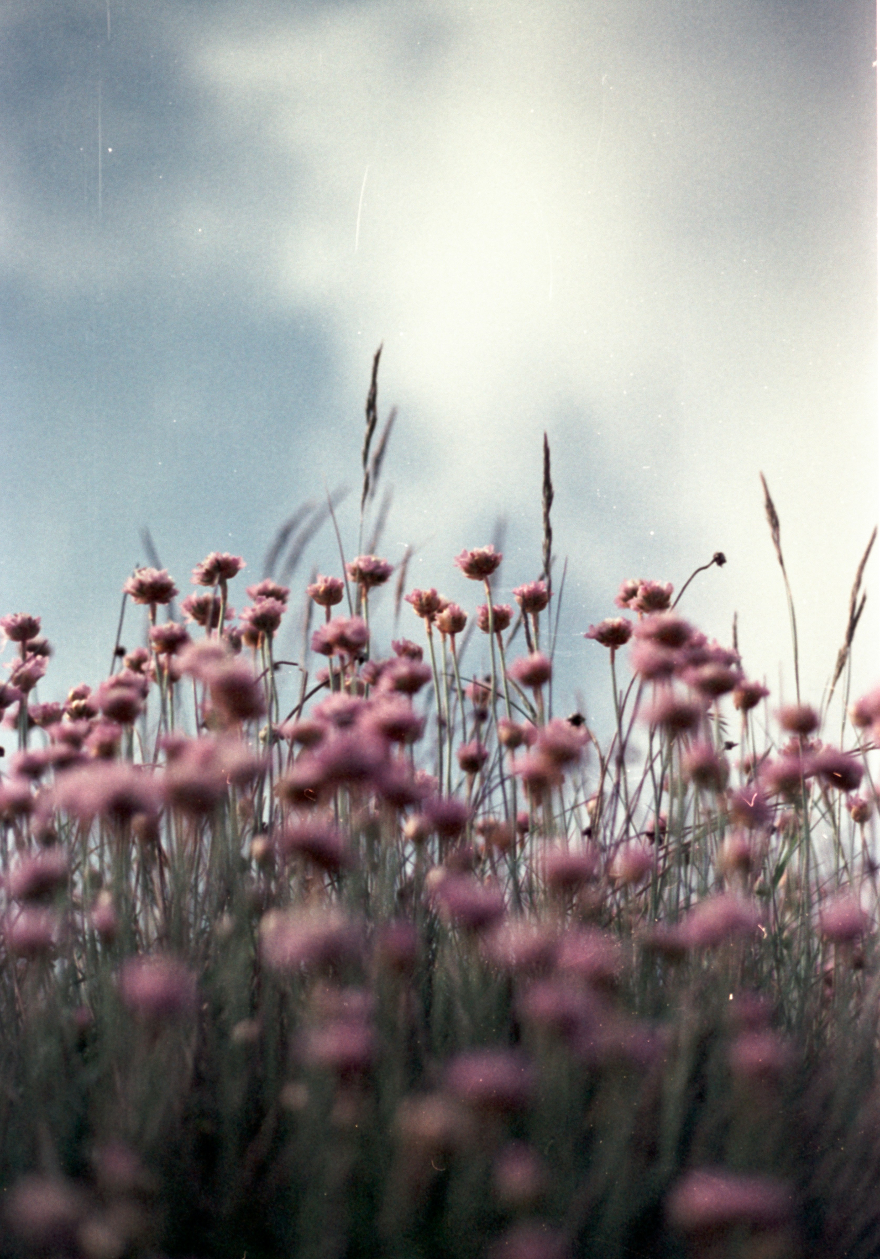 Photo by anniespratt