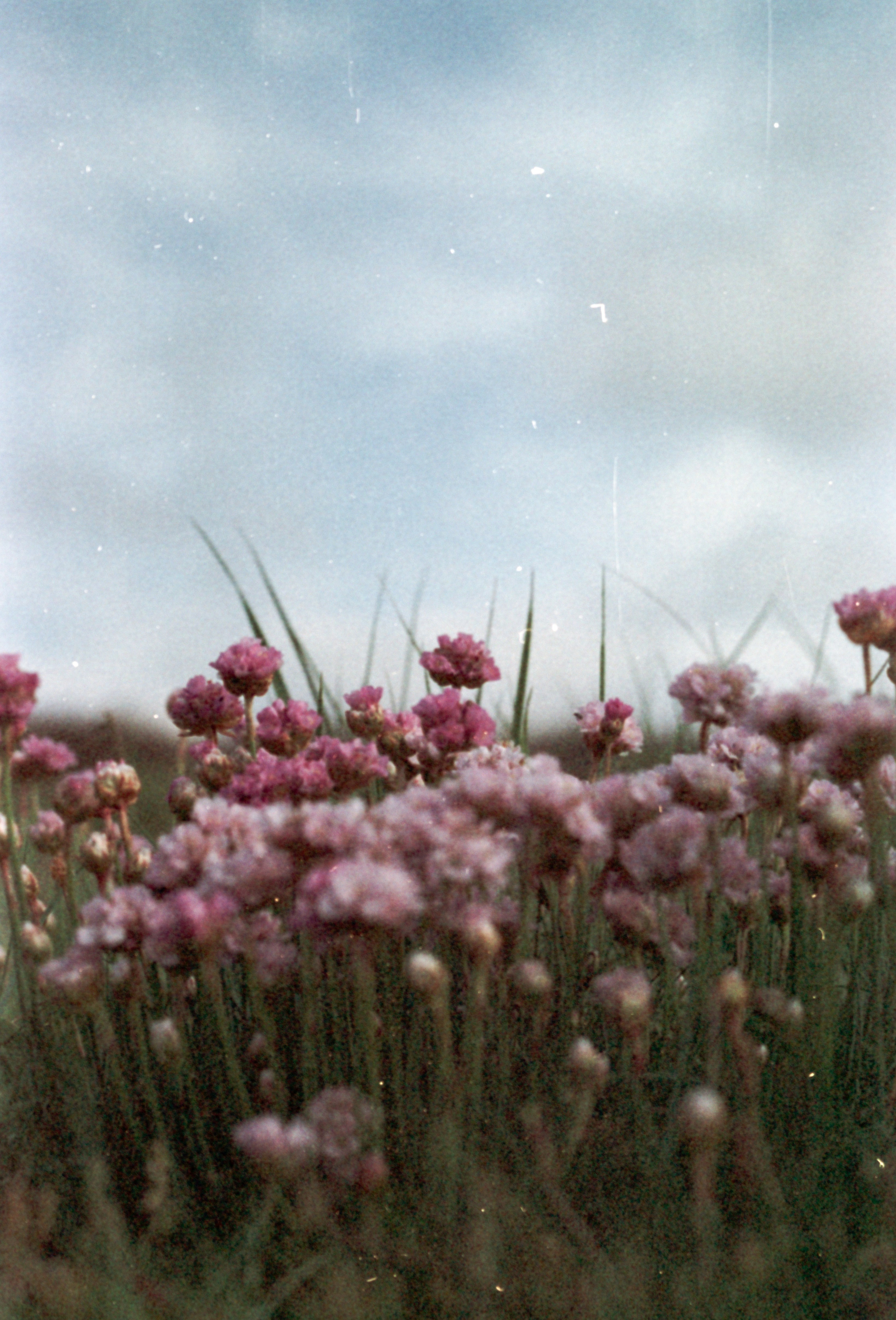 Photo by anniespratt