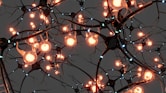 A bunch of lights that are on a tree