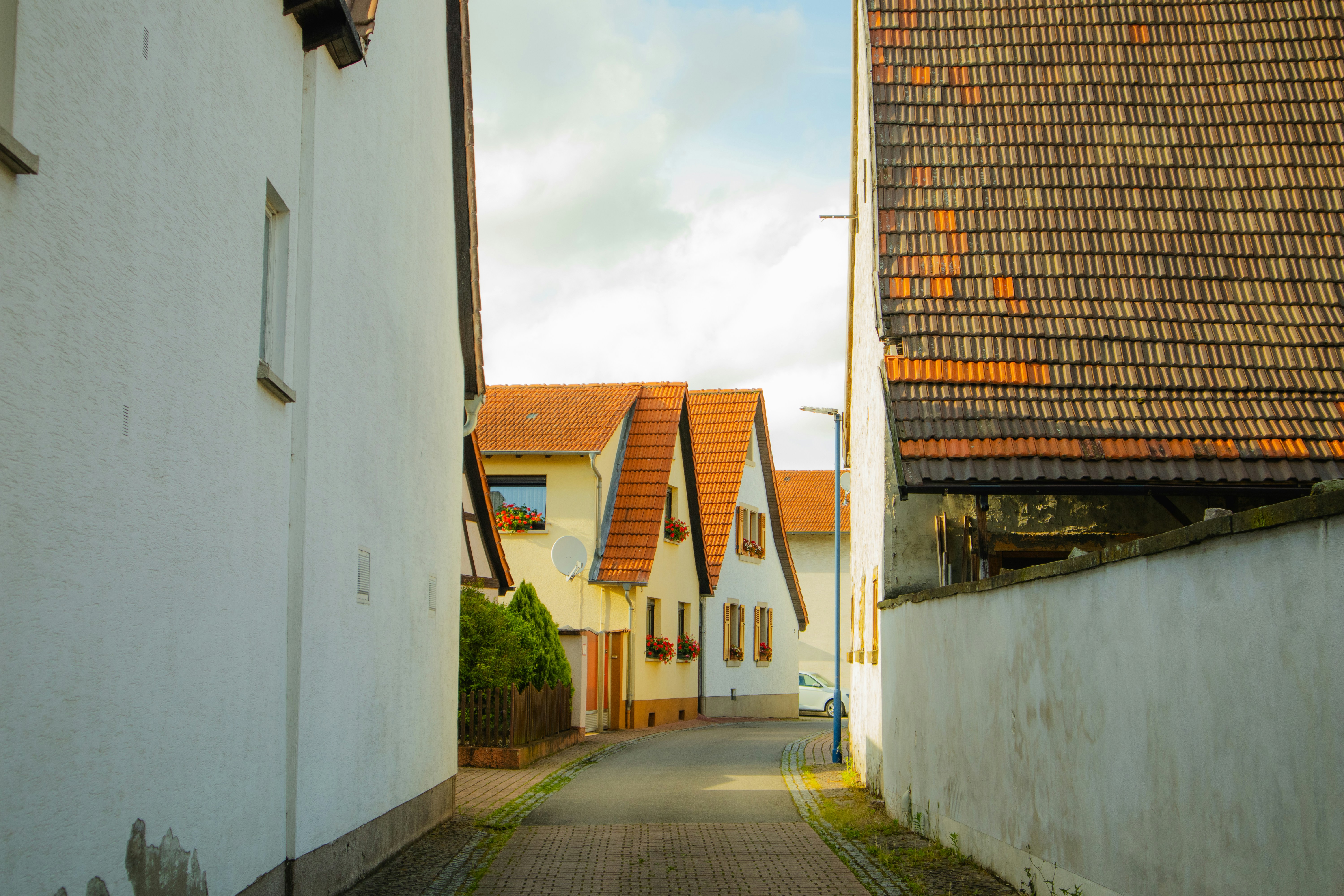 Photo by marko_lengyel