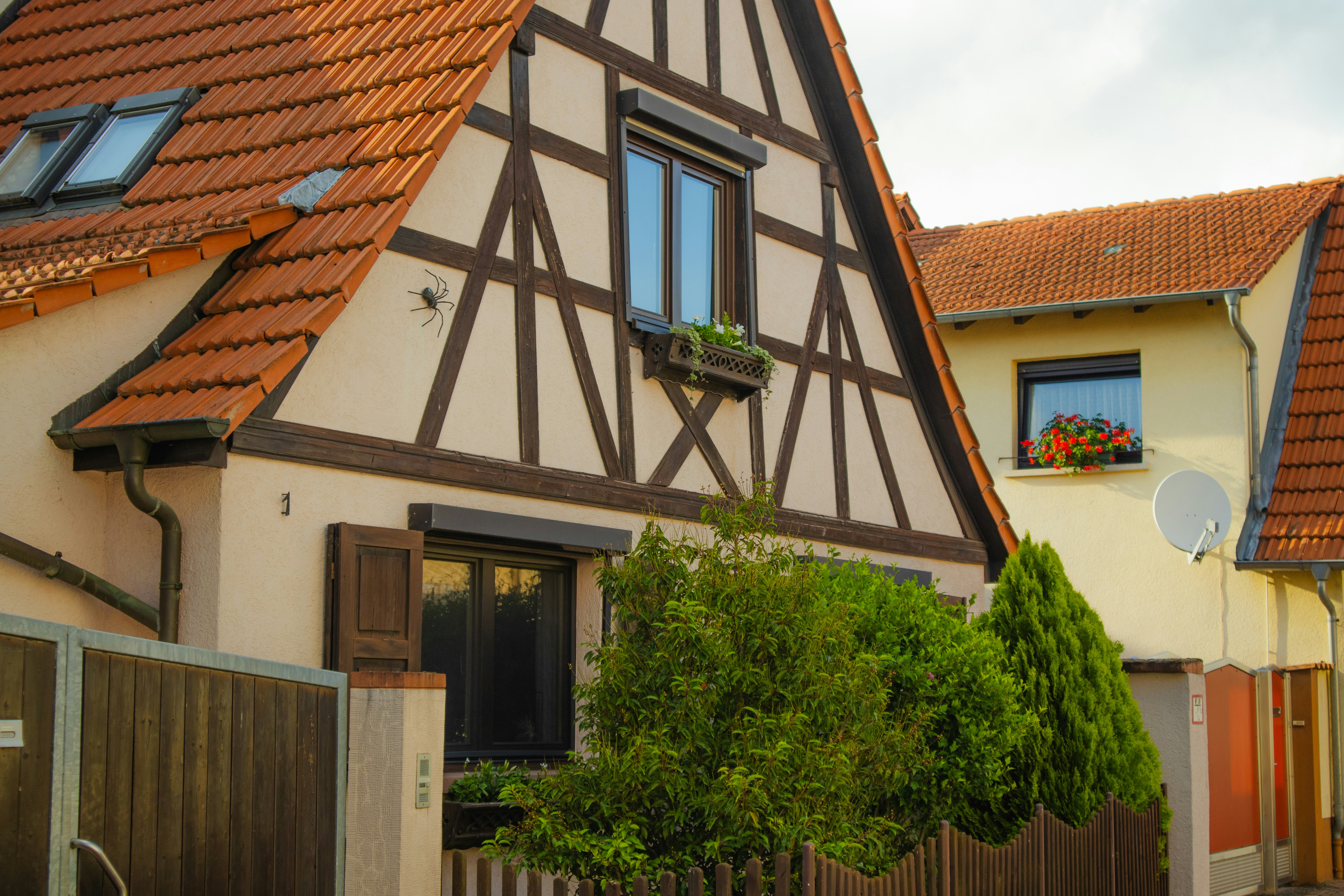 Photo by marko_lengyel