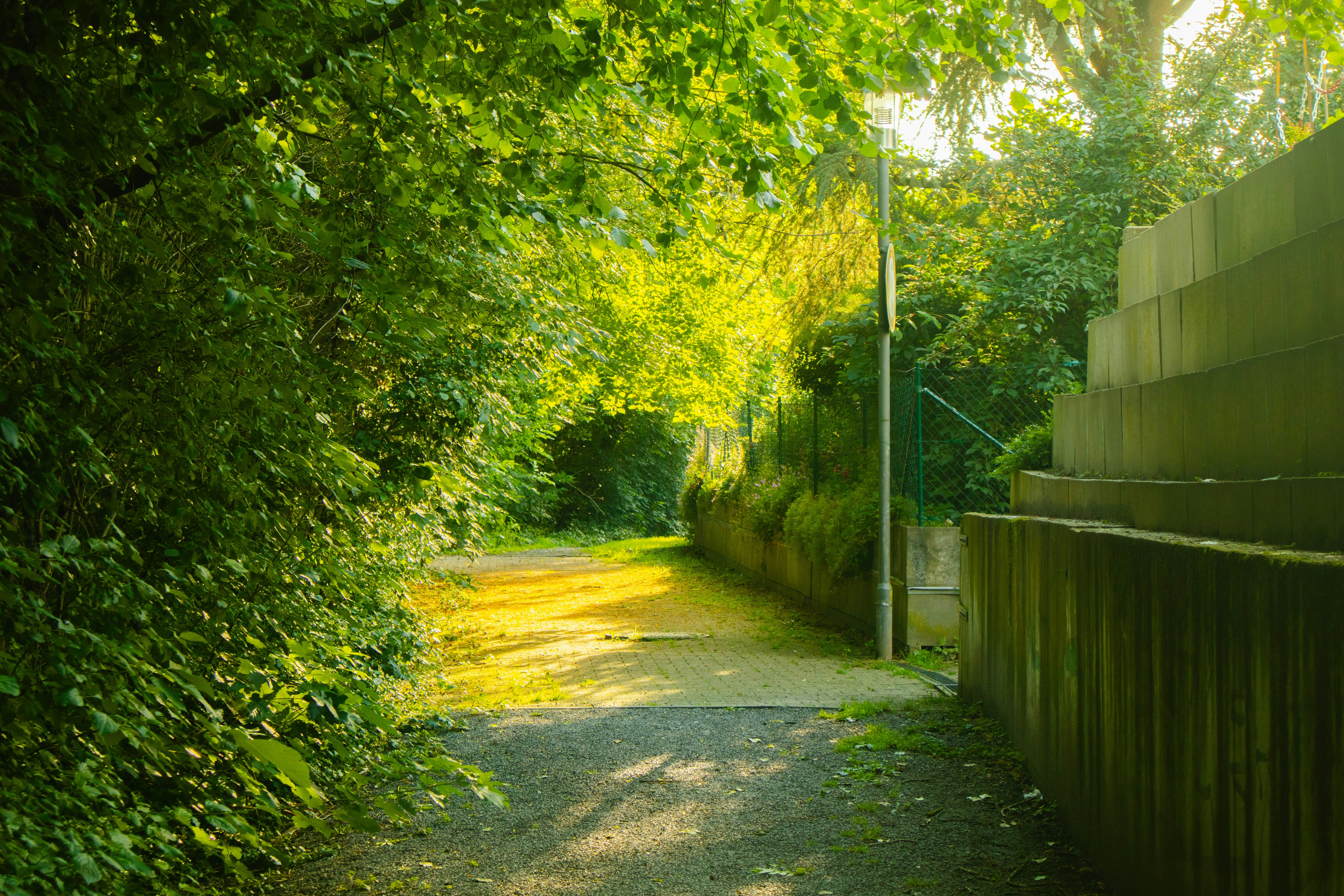 Photo by marko_lengyel