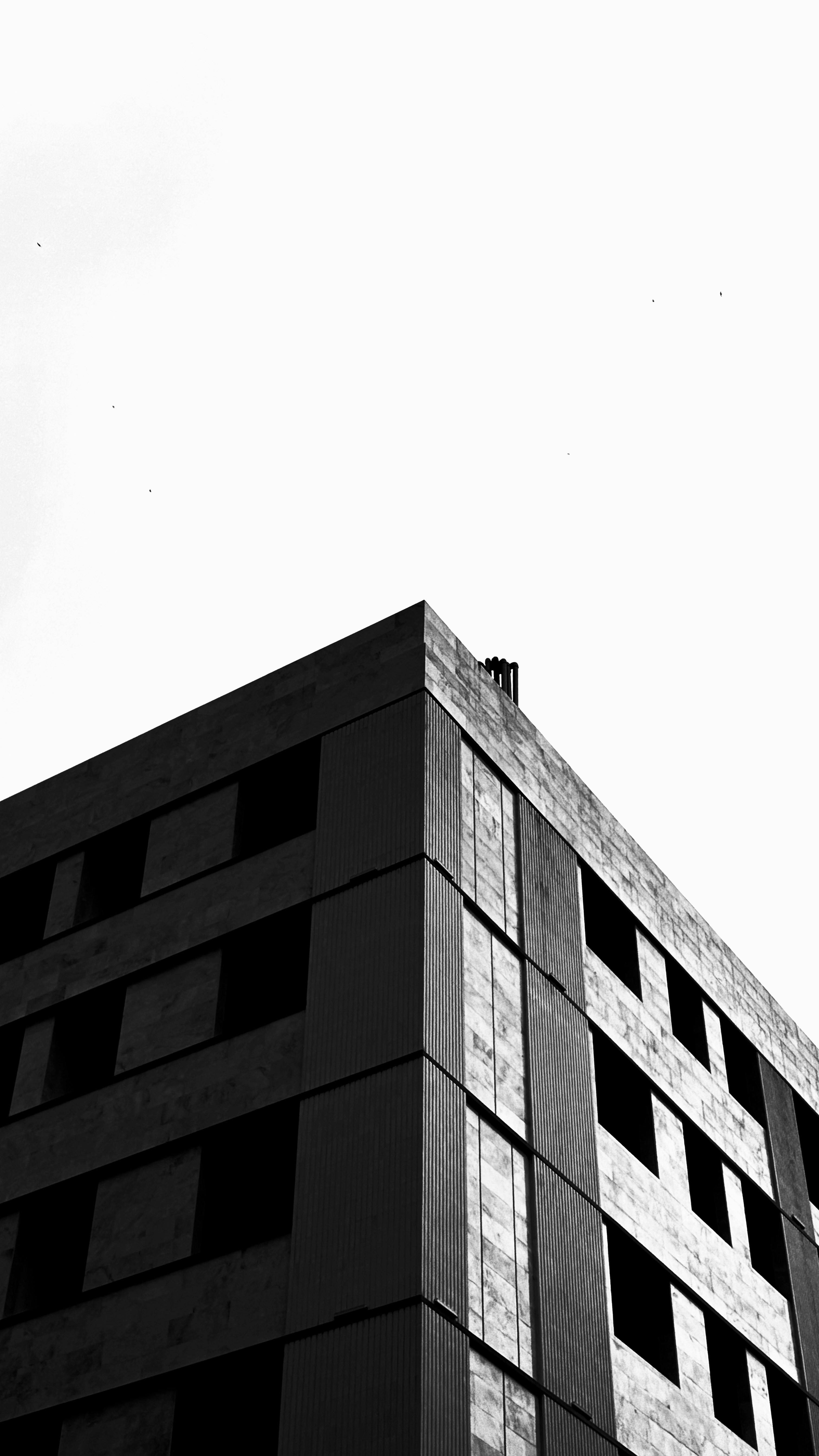 Photo by athenaazarnia