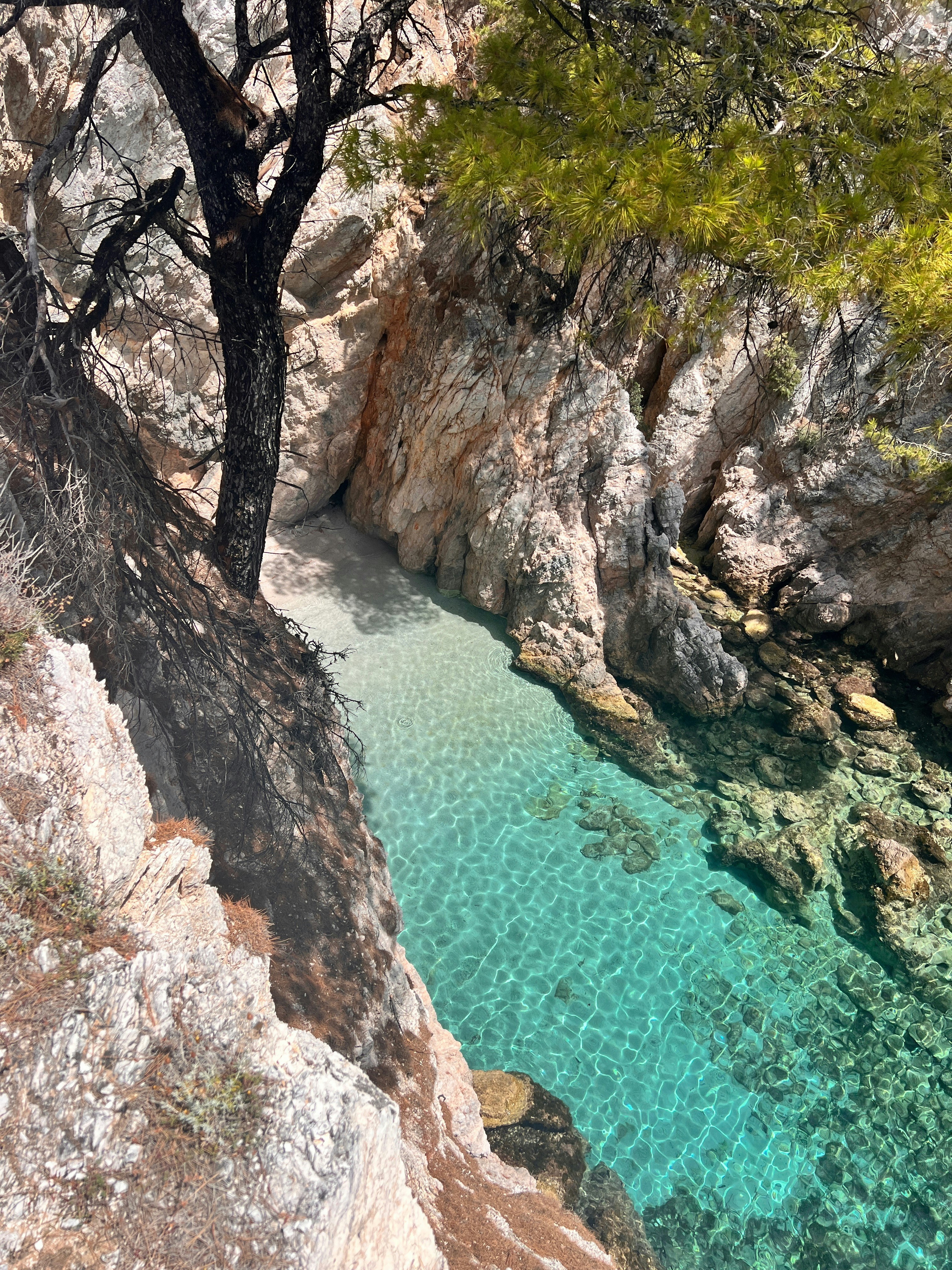 Photo by stanislav_vinc