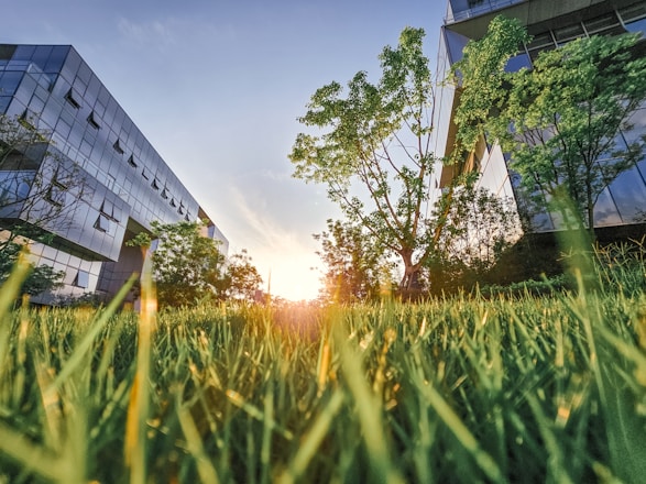 A grassy field with two buildings in the background