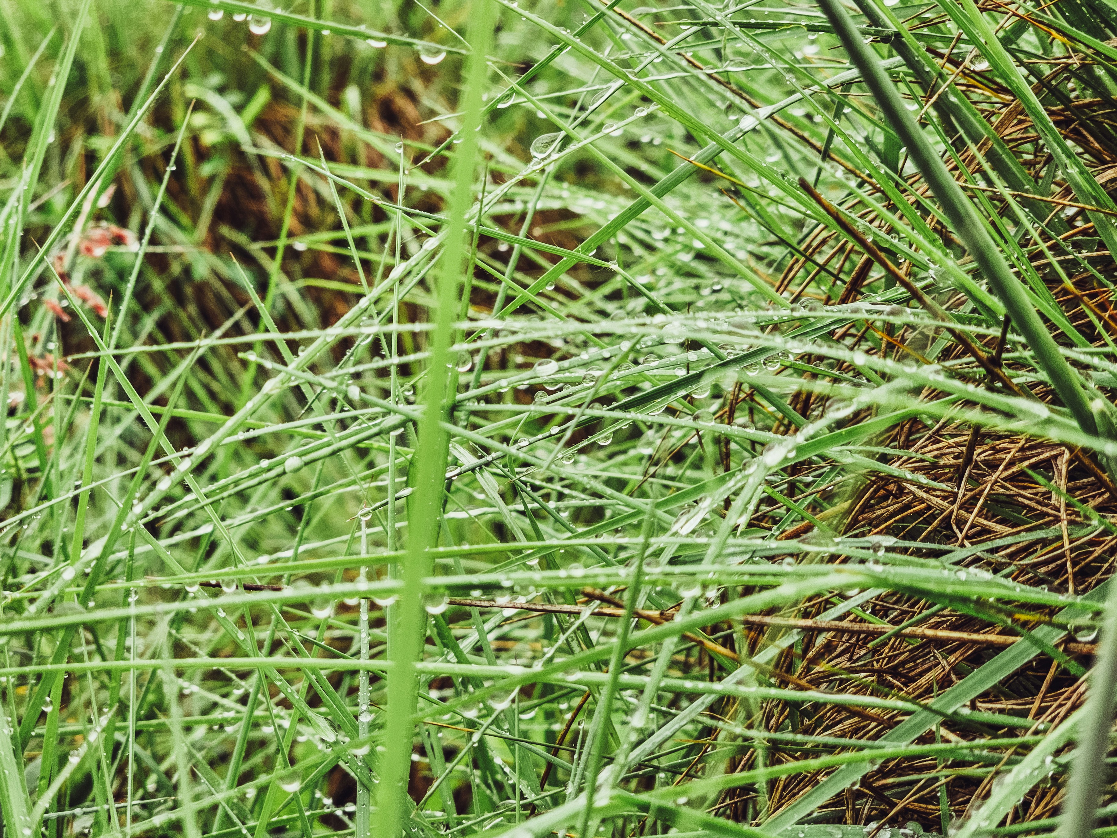 Photo by hypocriteeeee