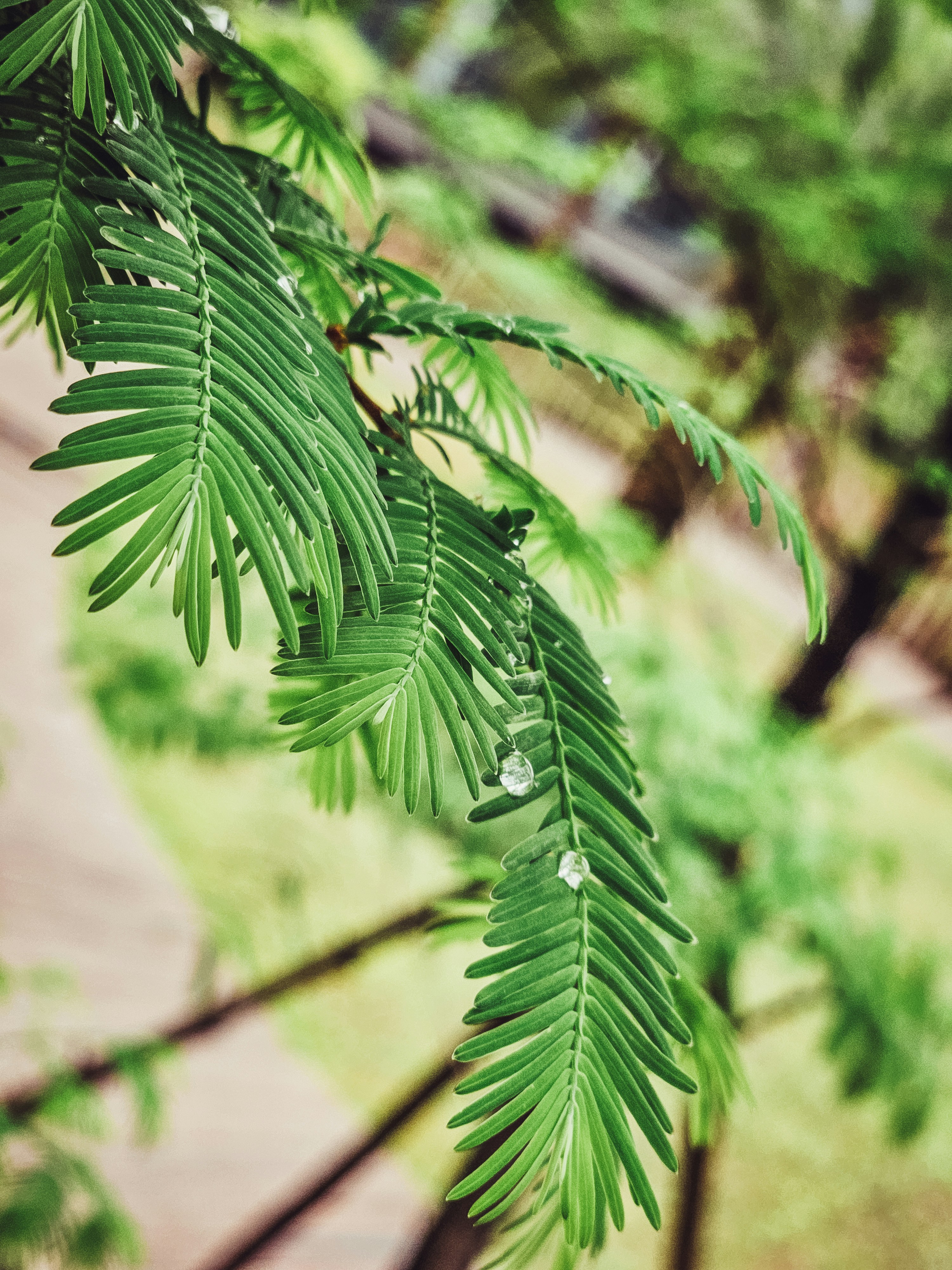 Photo by hypocriteeeee