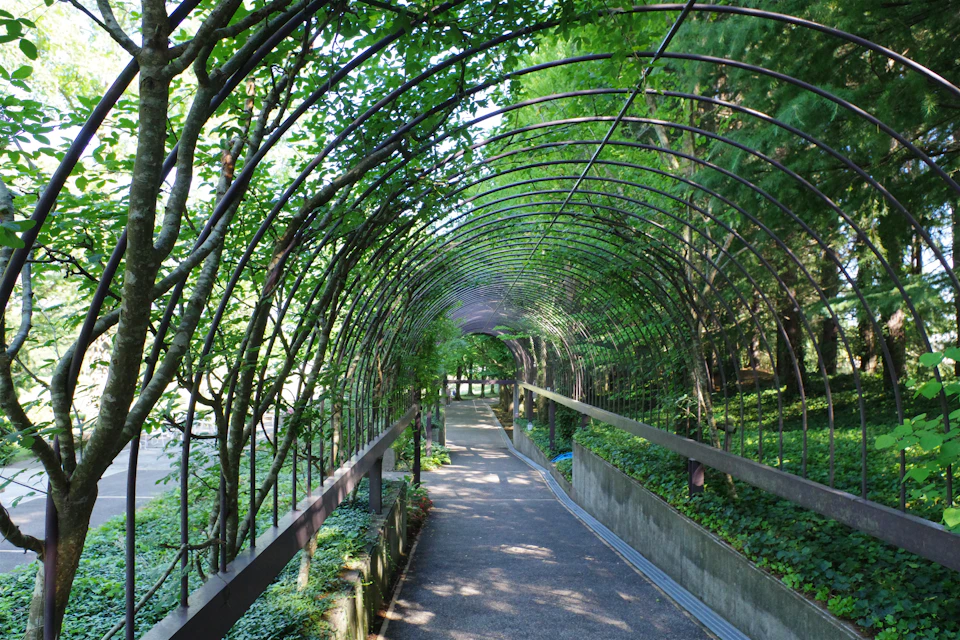 The image depicts a serene garden scene with a long, curved walkway constructed from metal arches and supported by sturdy concrete pillars. The walkway is adorned with lush green trees on both sides, creating a natural canopy that filters sunlight onto the path below. A small pond can be seen in the background, adding to the tranquil atmosphere of the scene.

The perspective of the image is taken from ground level, looking down the length of the walkway towards the end. The colors in the photo are predominantly green and brown, with the trees providing a vibrant contrast against the more muted tones of the concrete pillars and the pond.