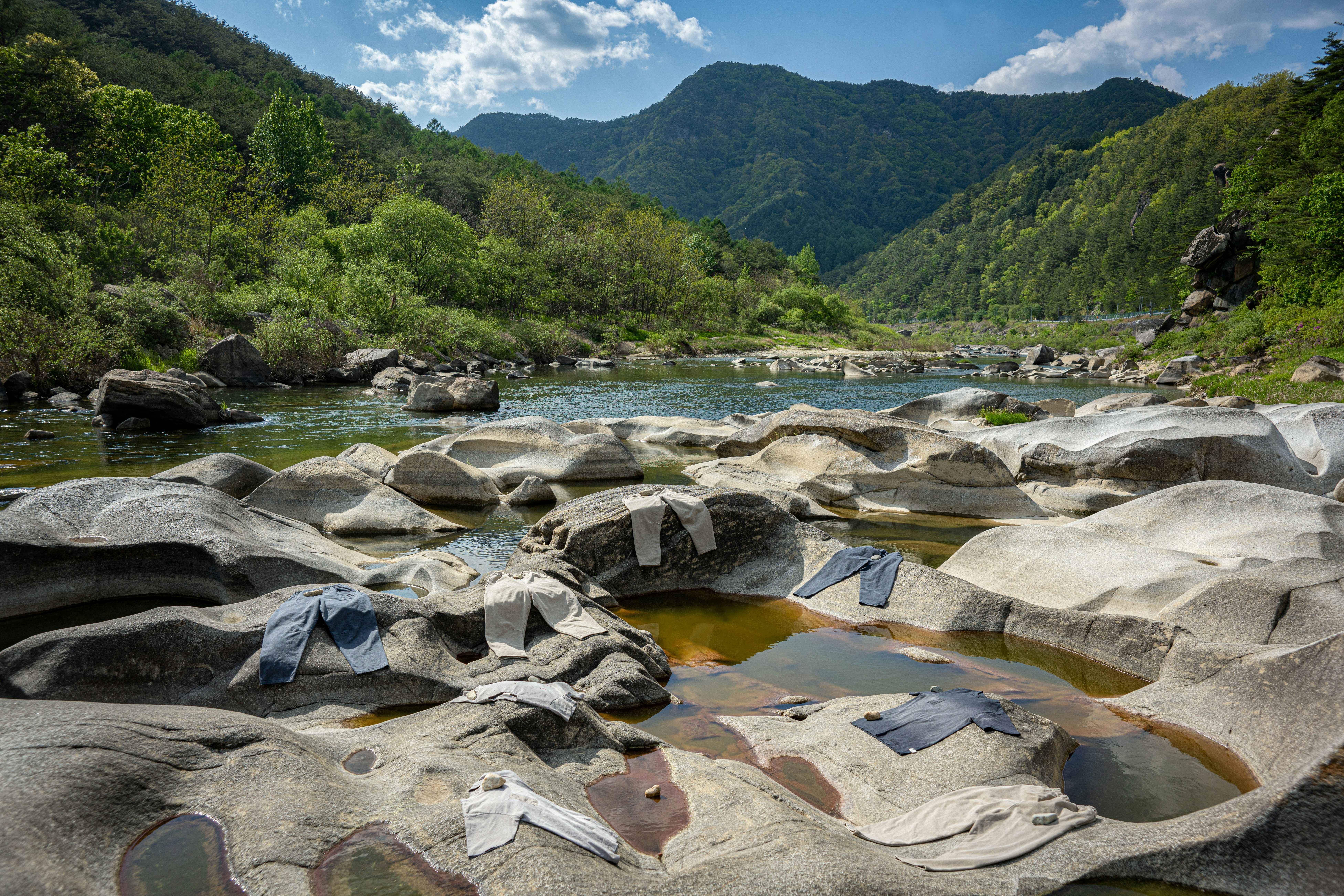 A river running through a lush green forest