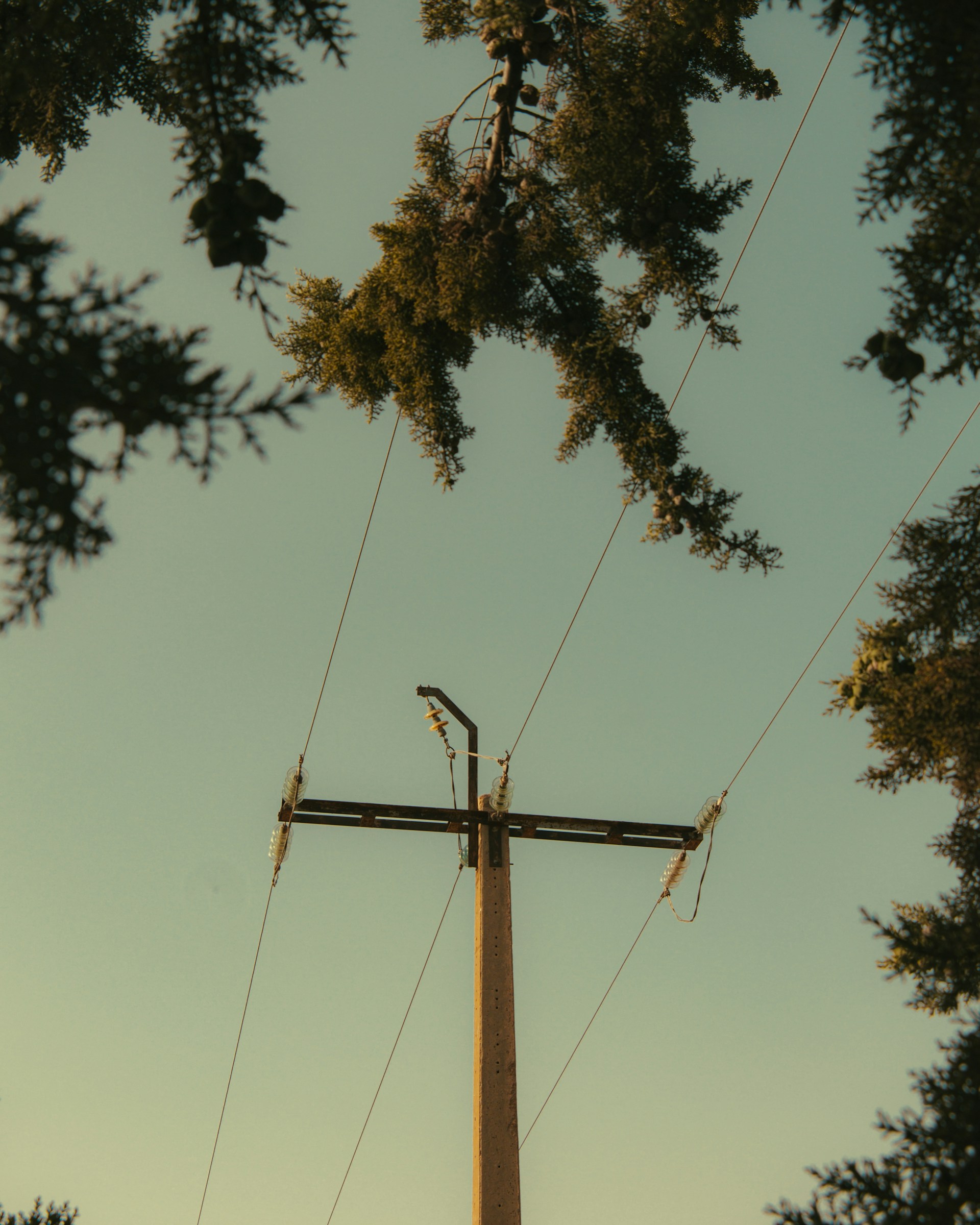 A tall pole with a street light on top of it