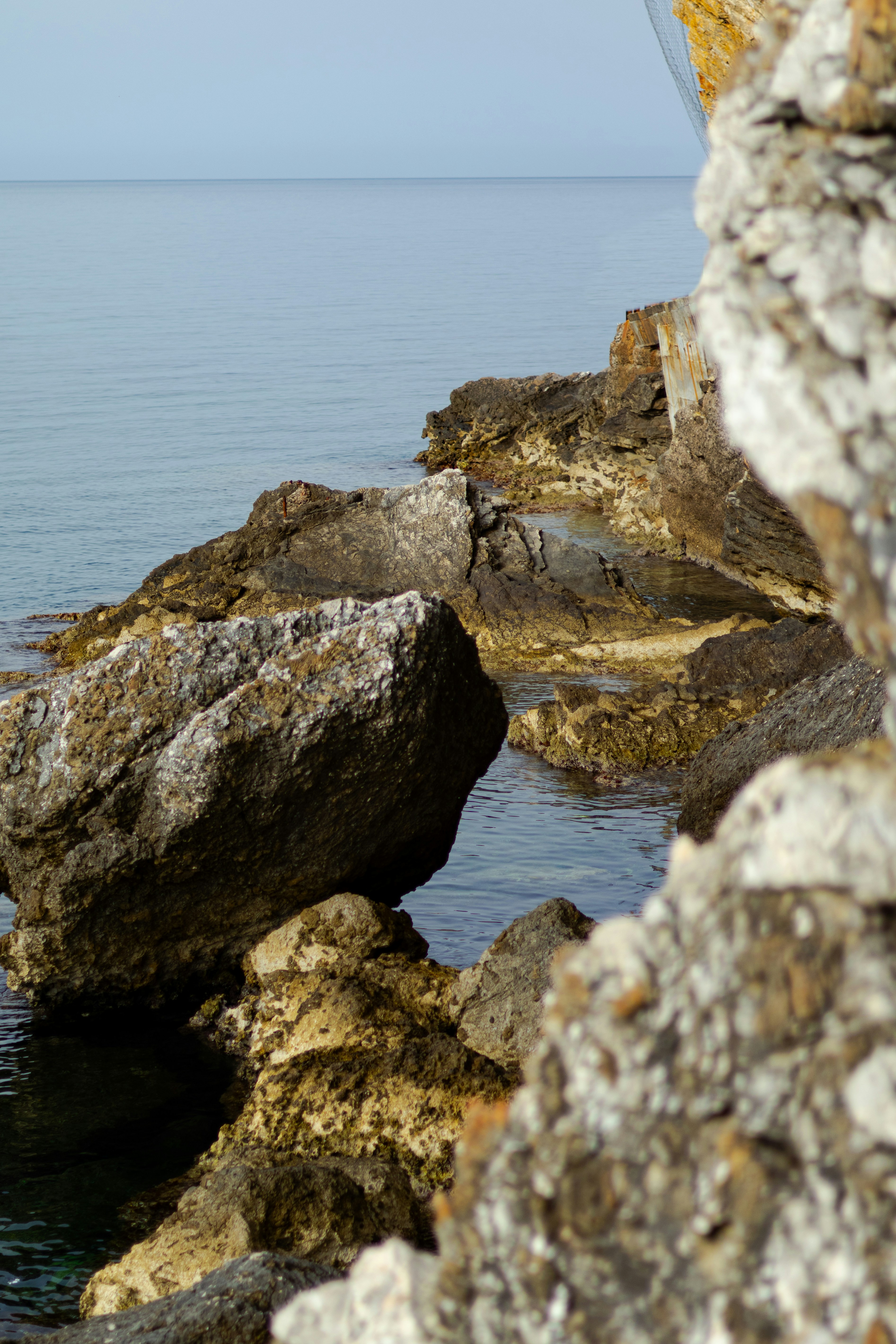 Photo by anyutakejbalo