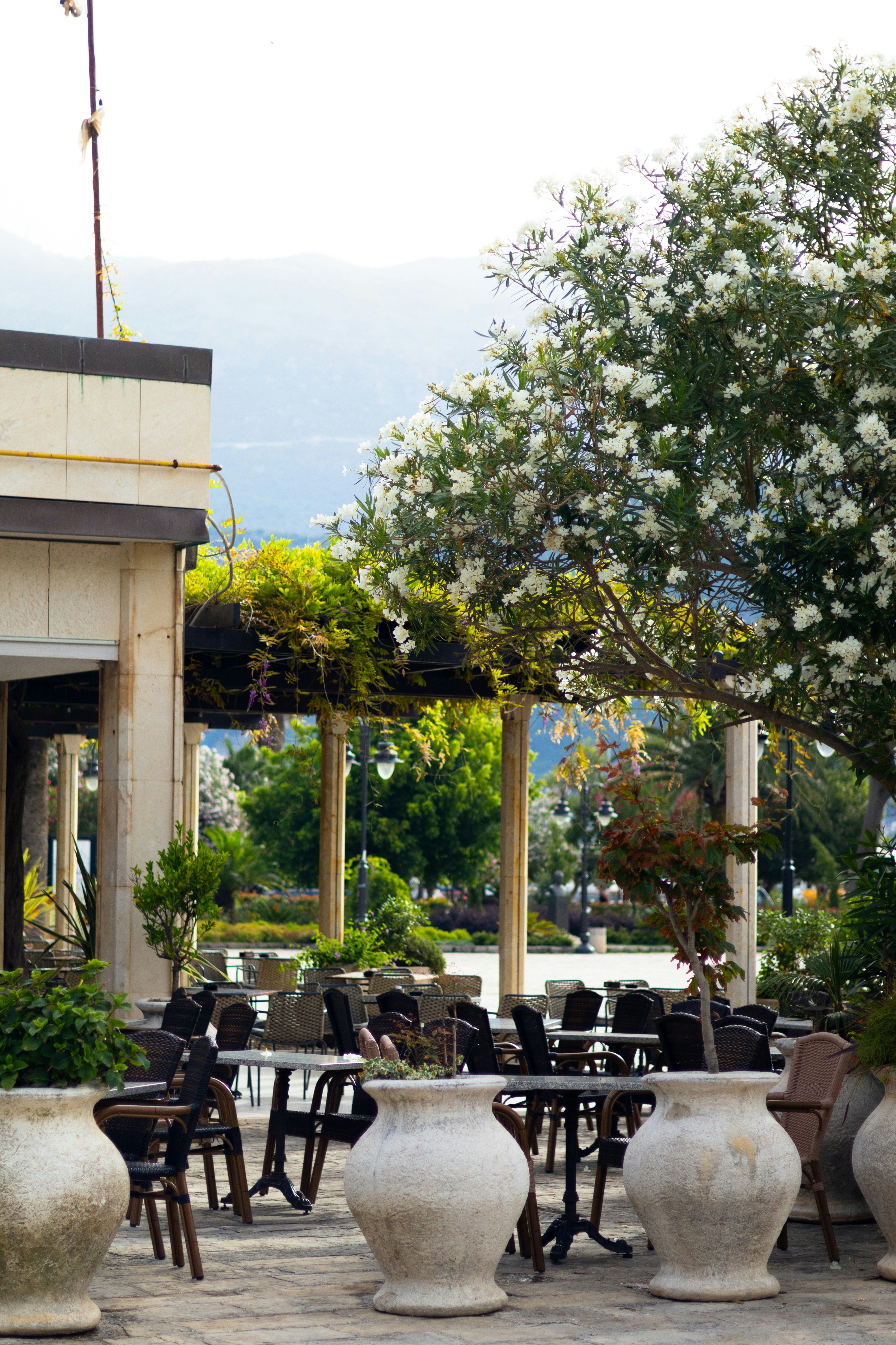 Photo by anyutakejbalo