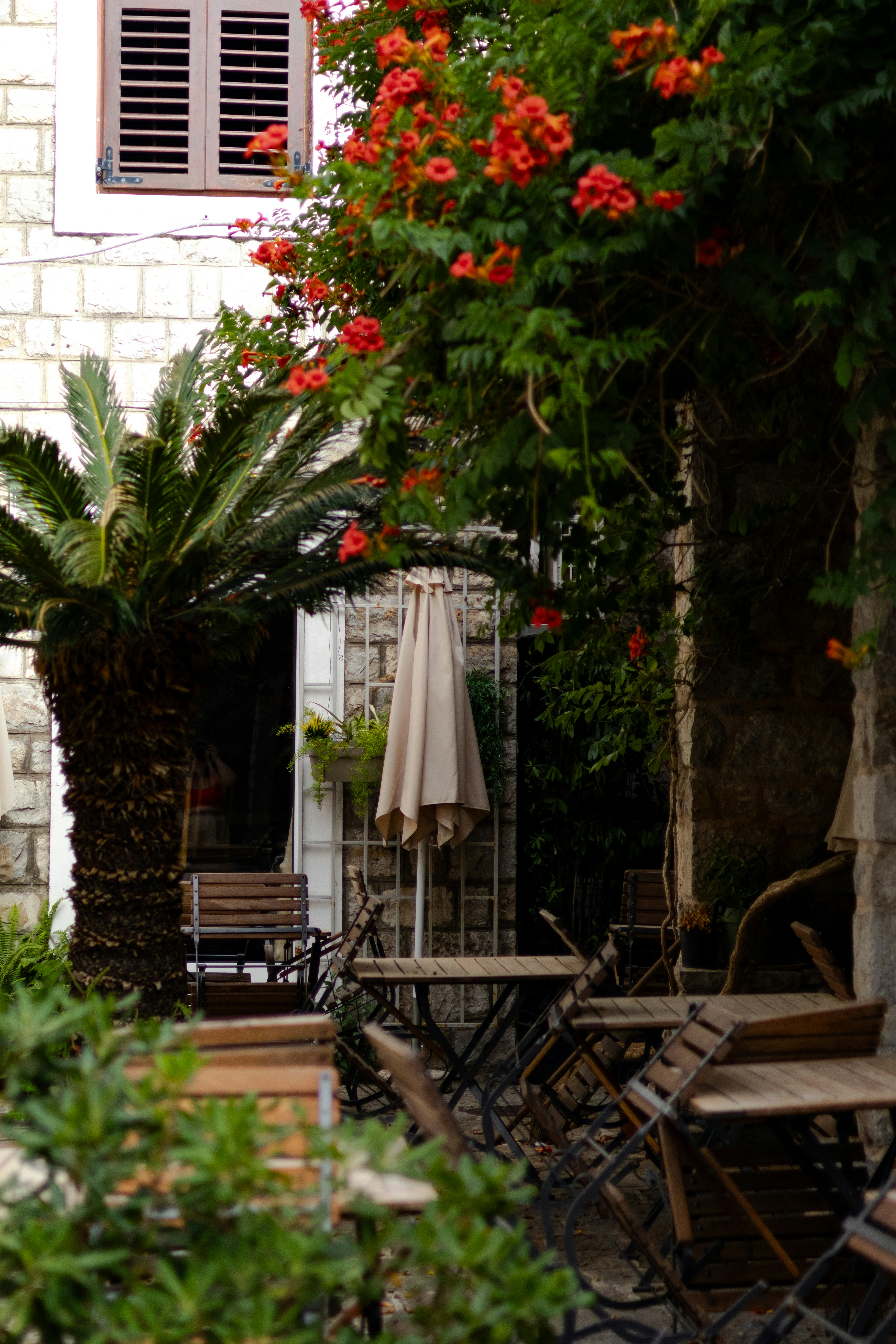 Photo by anyutakejbalo