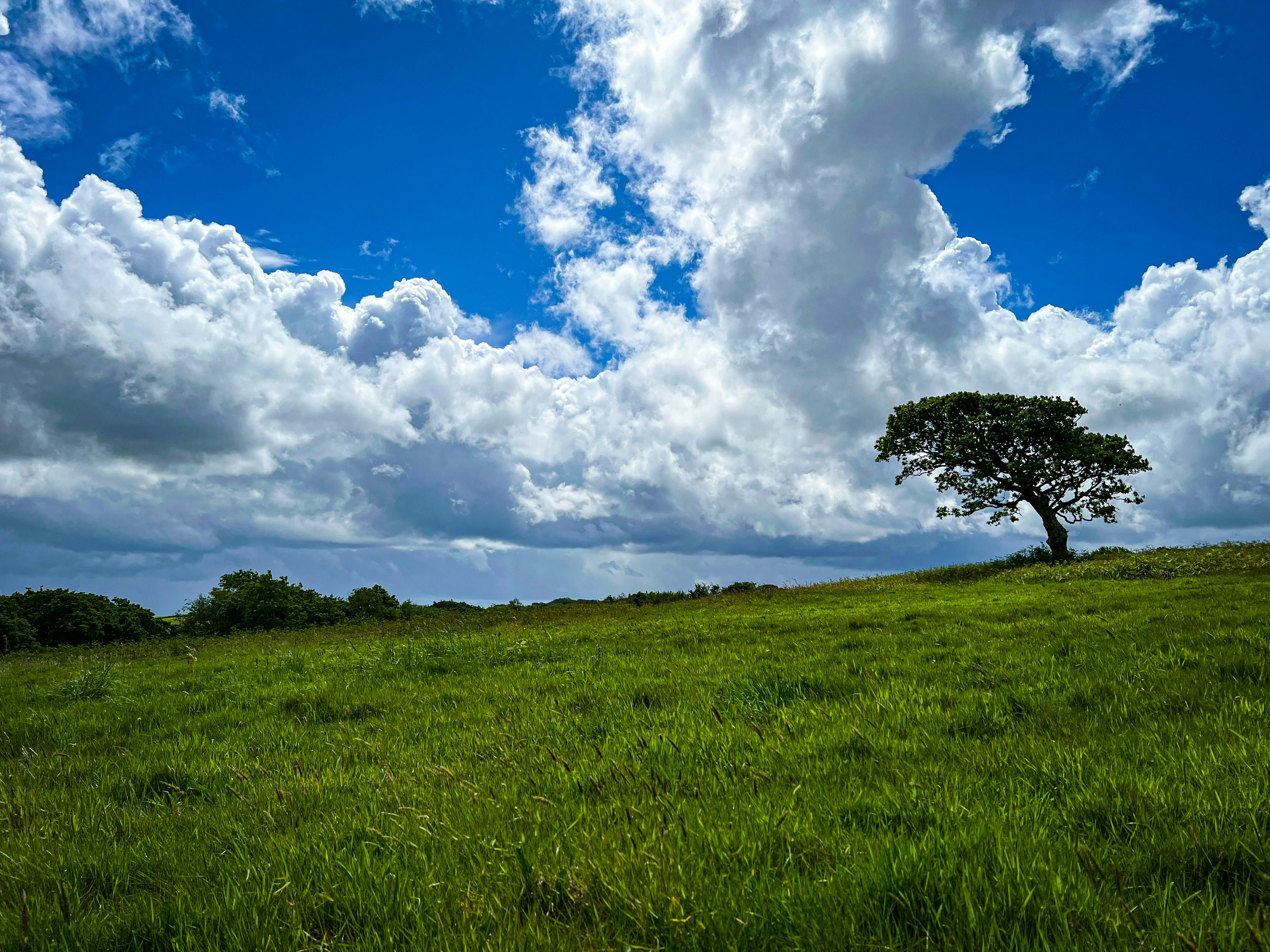 Photo by daaannorris