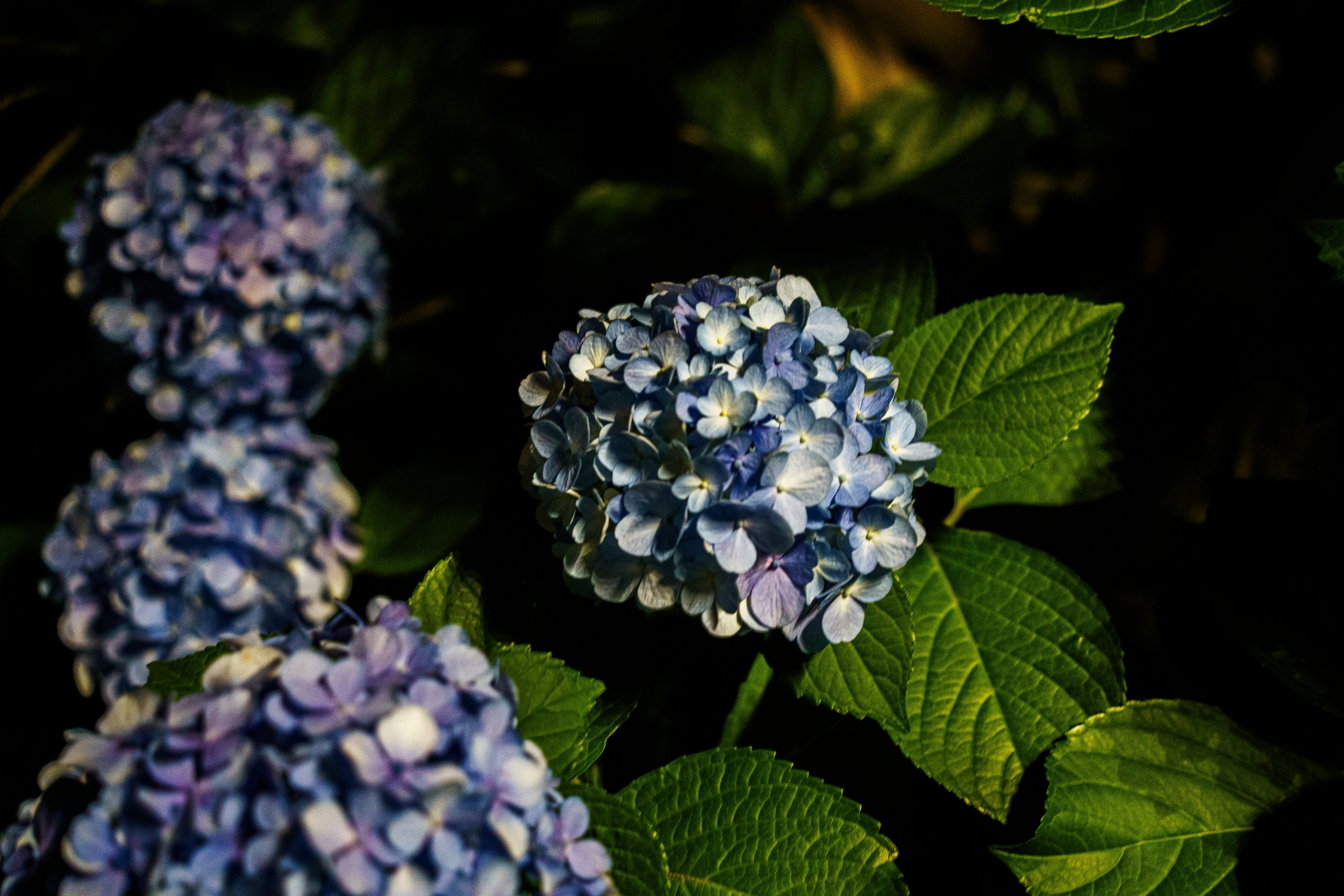 Photo by kent_shimazaki