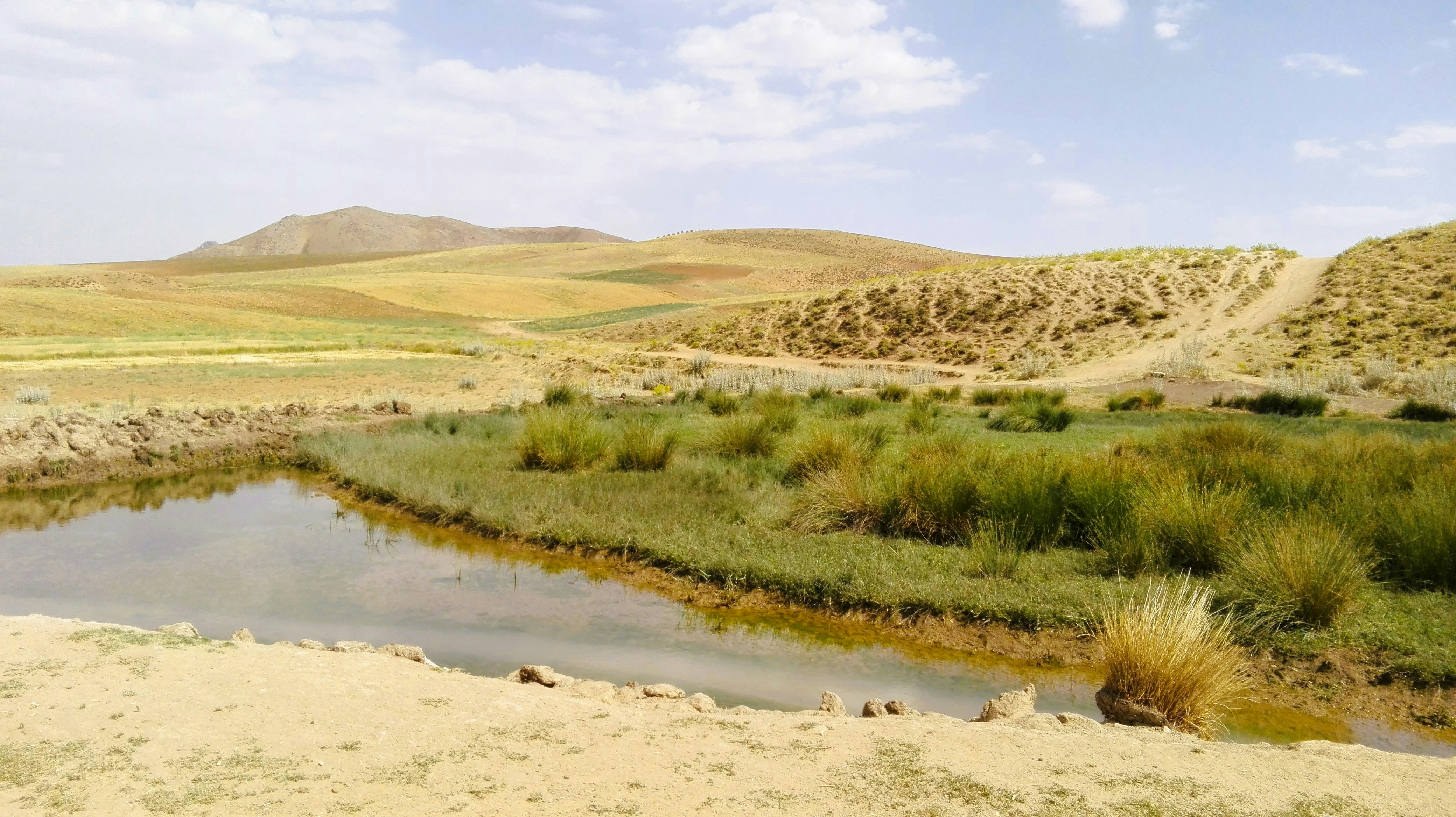 Photo by haniyehroustaee