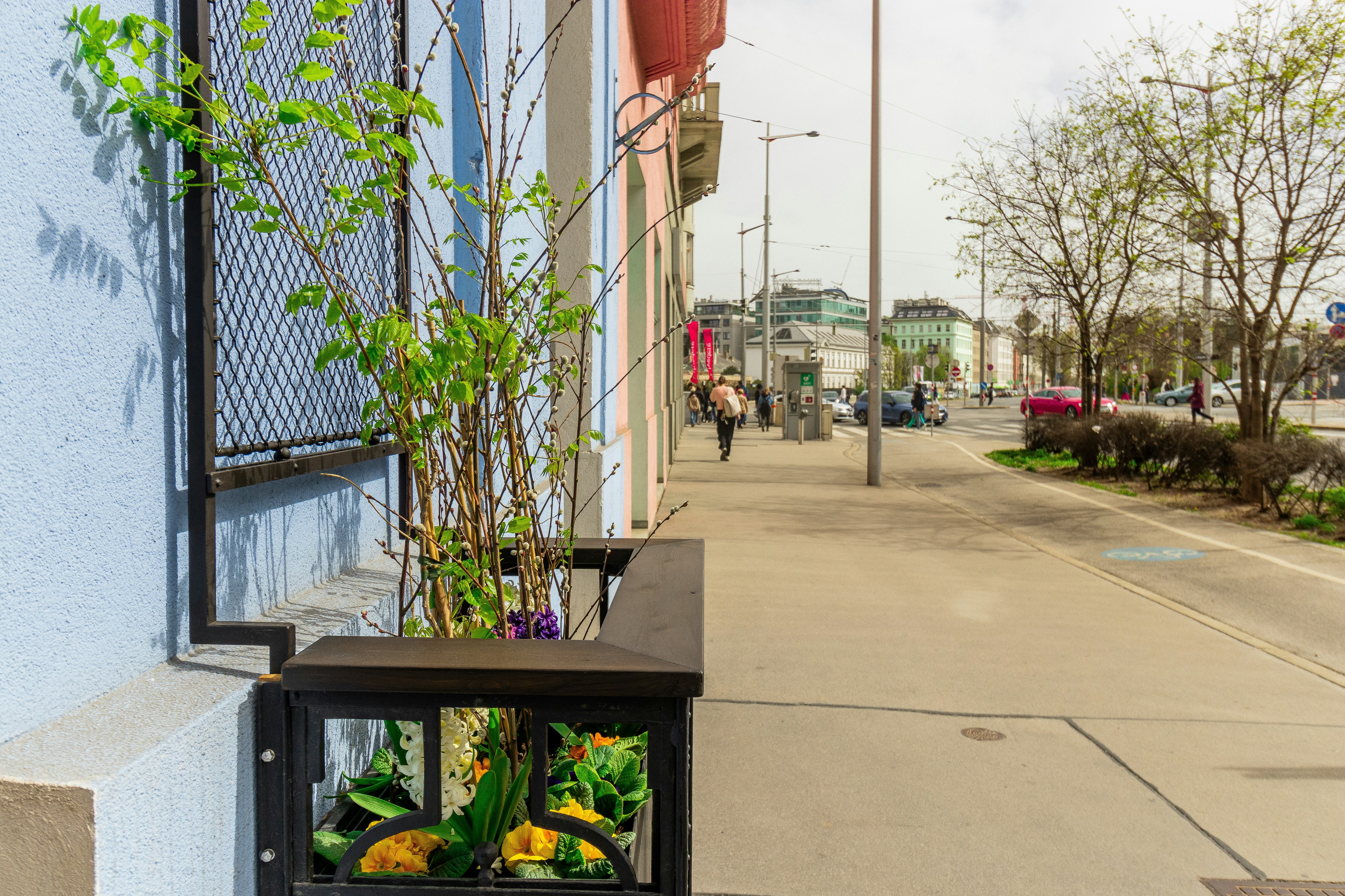A planter with plants on the side of a building.