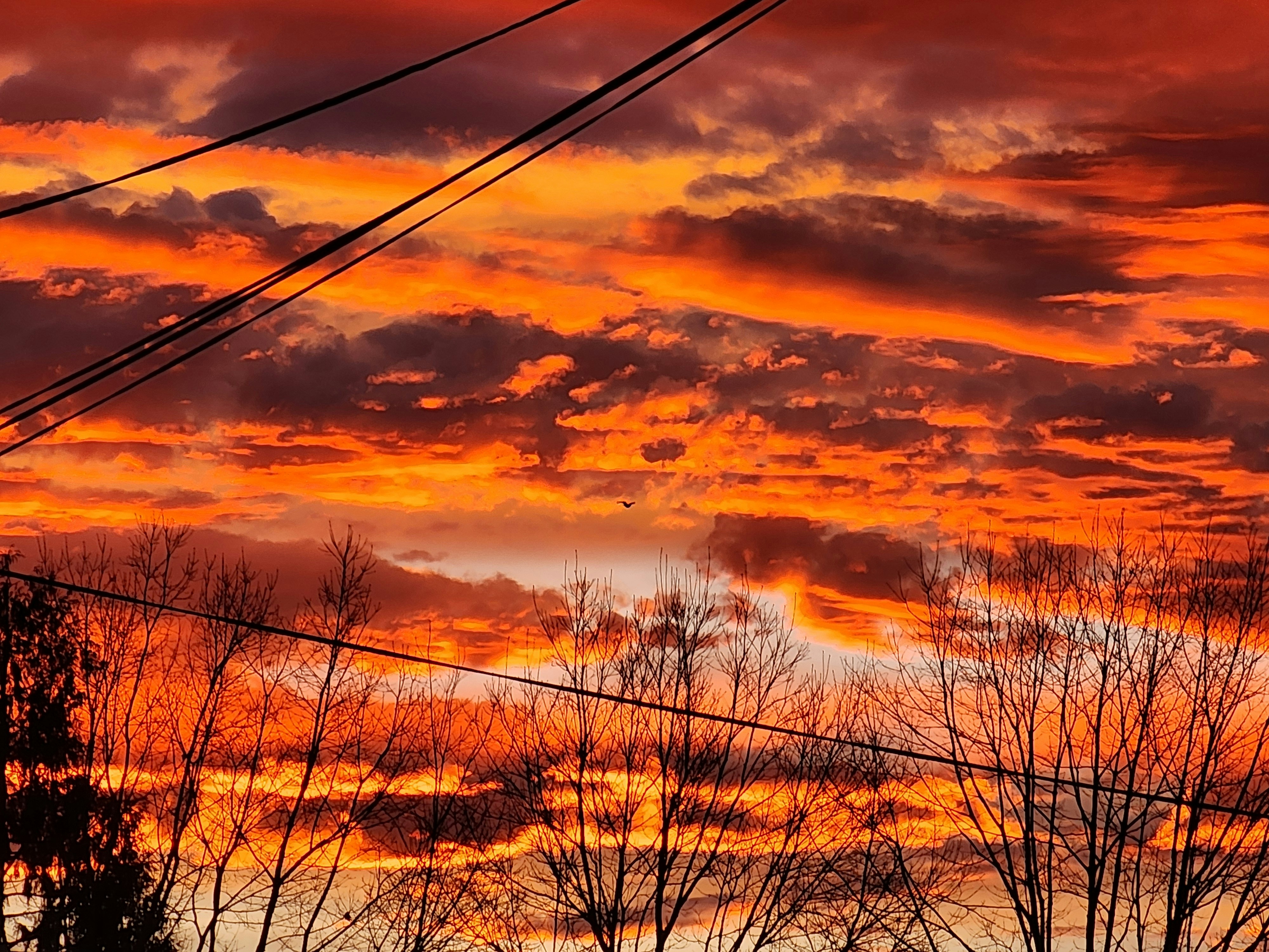 Photo by westezworld360