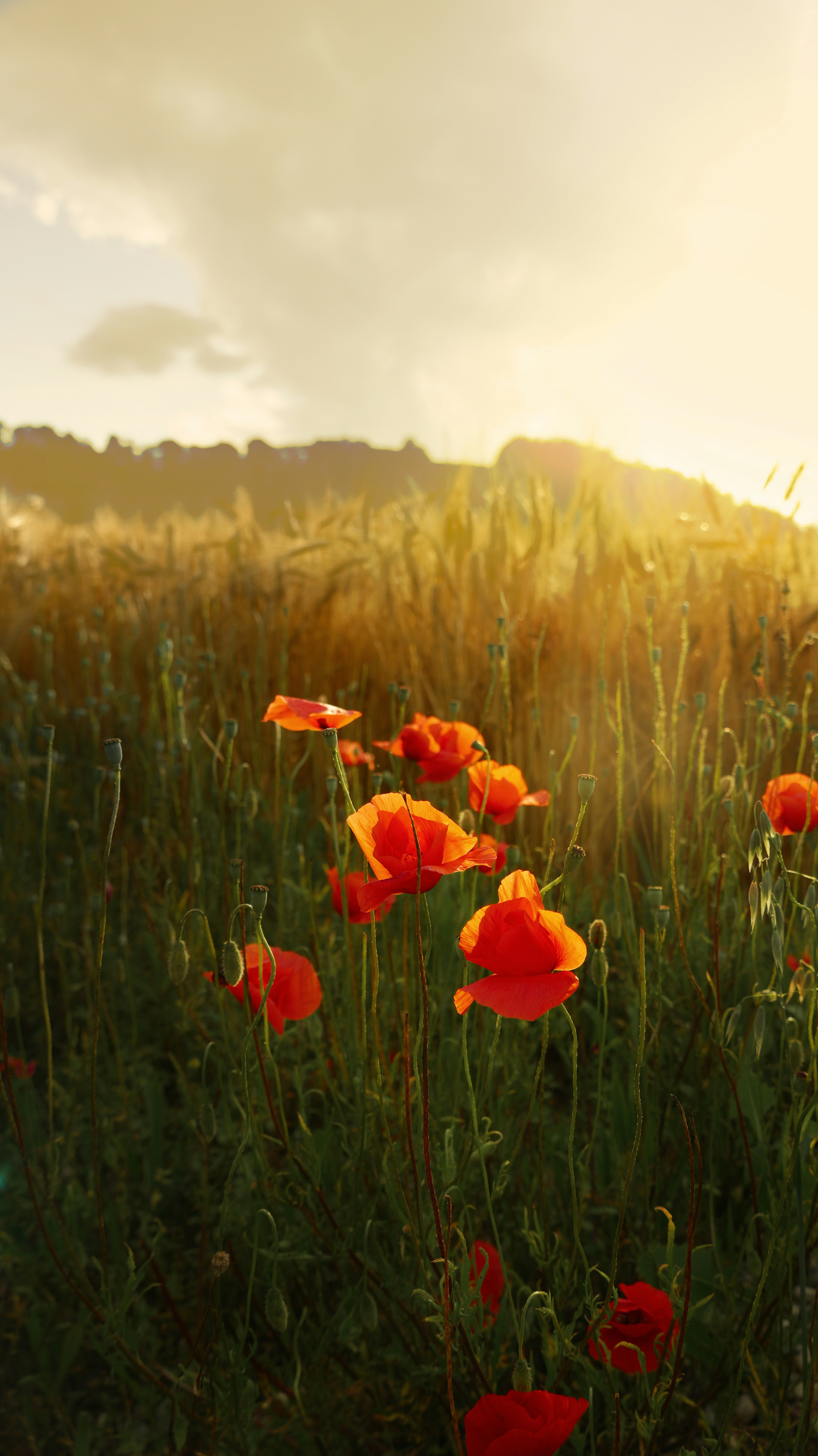 Photo by godisopensource