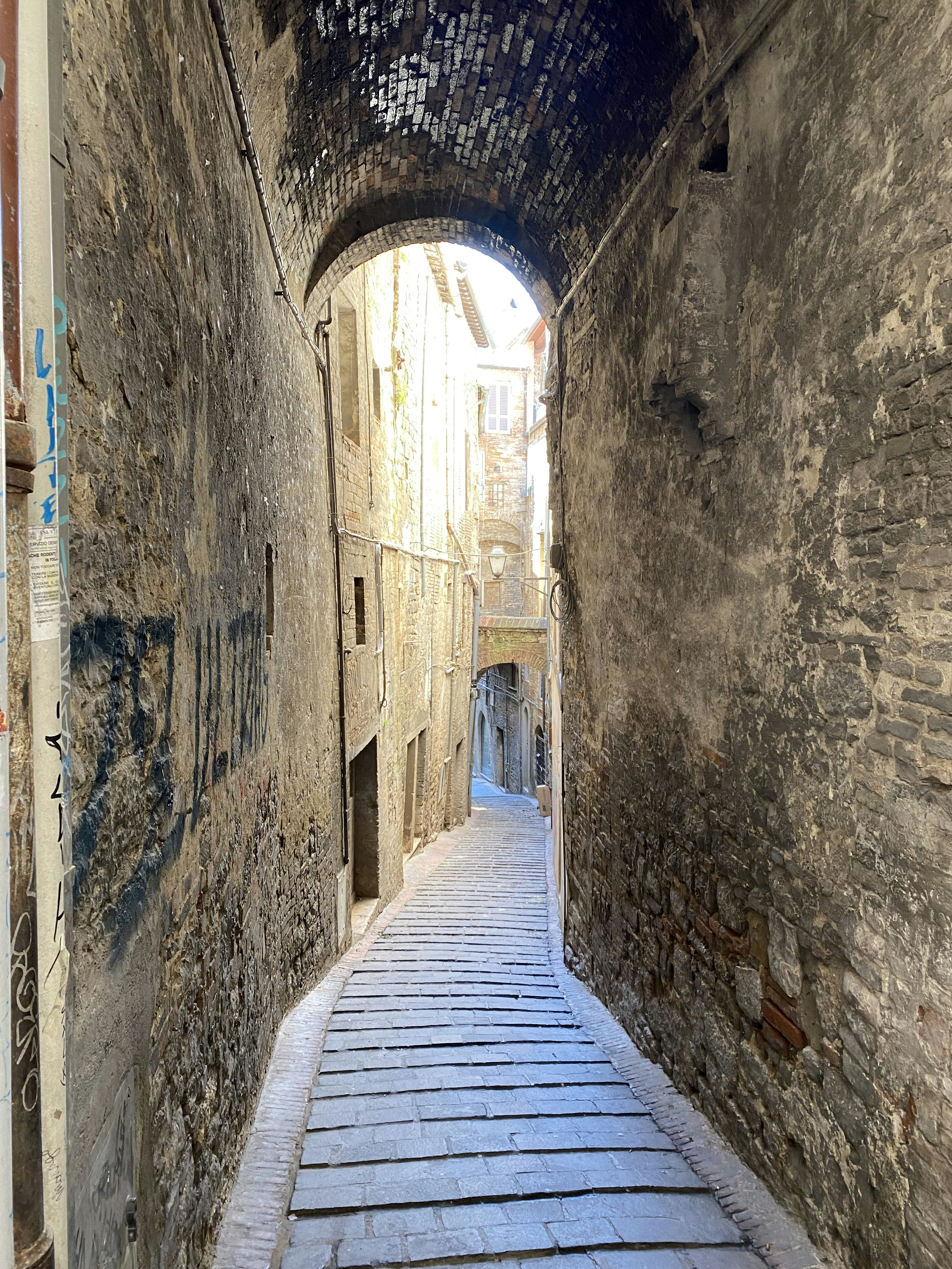 Photo by dplibrarian