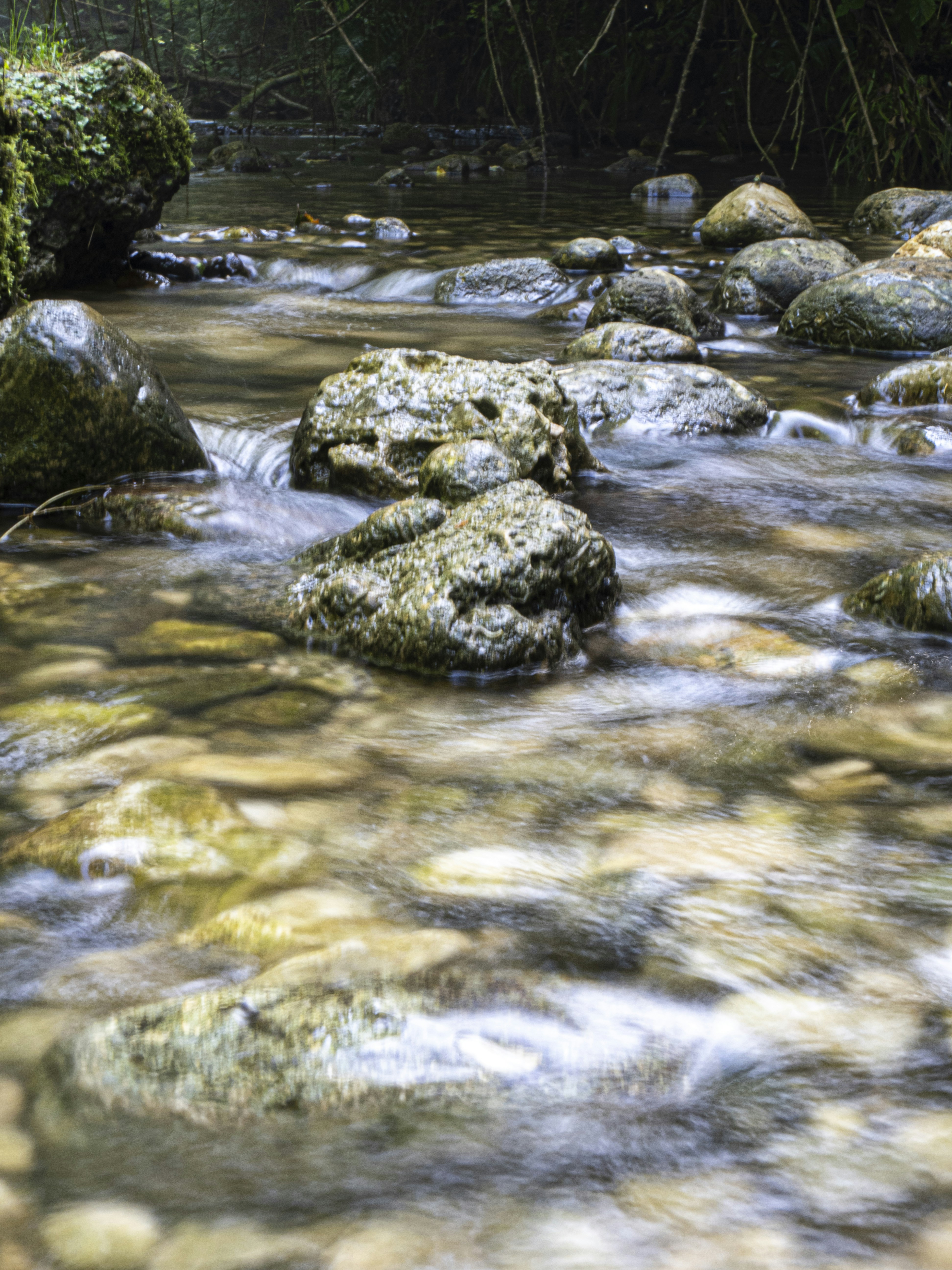 Photo by gopitri_prem