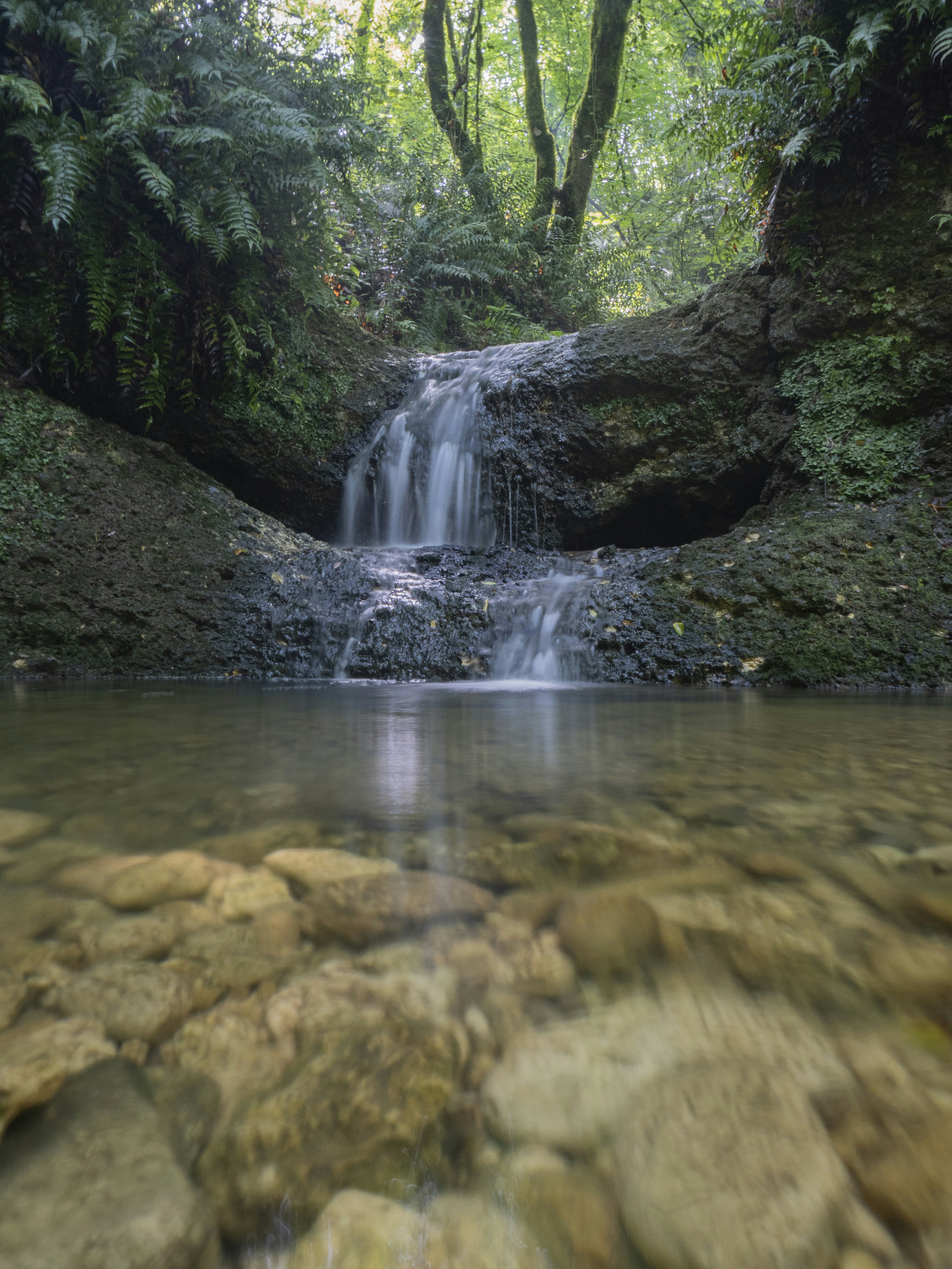 Photo by gopitri_prem