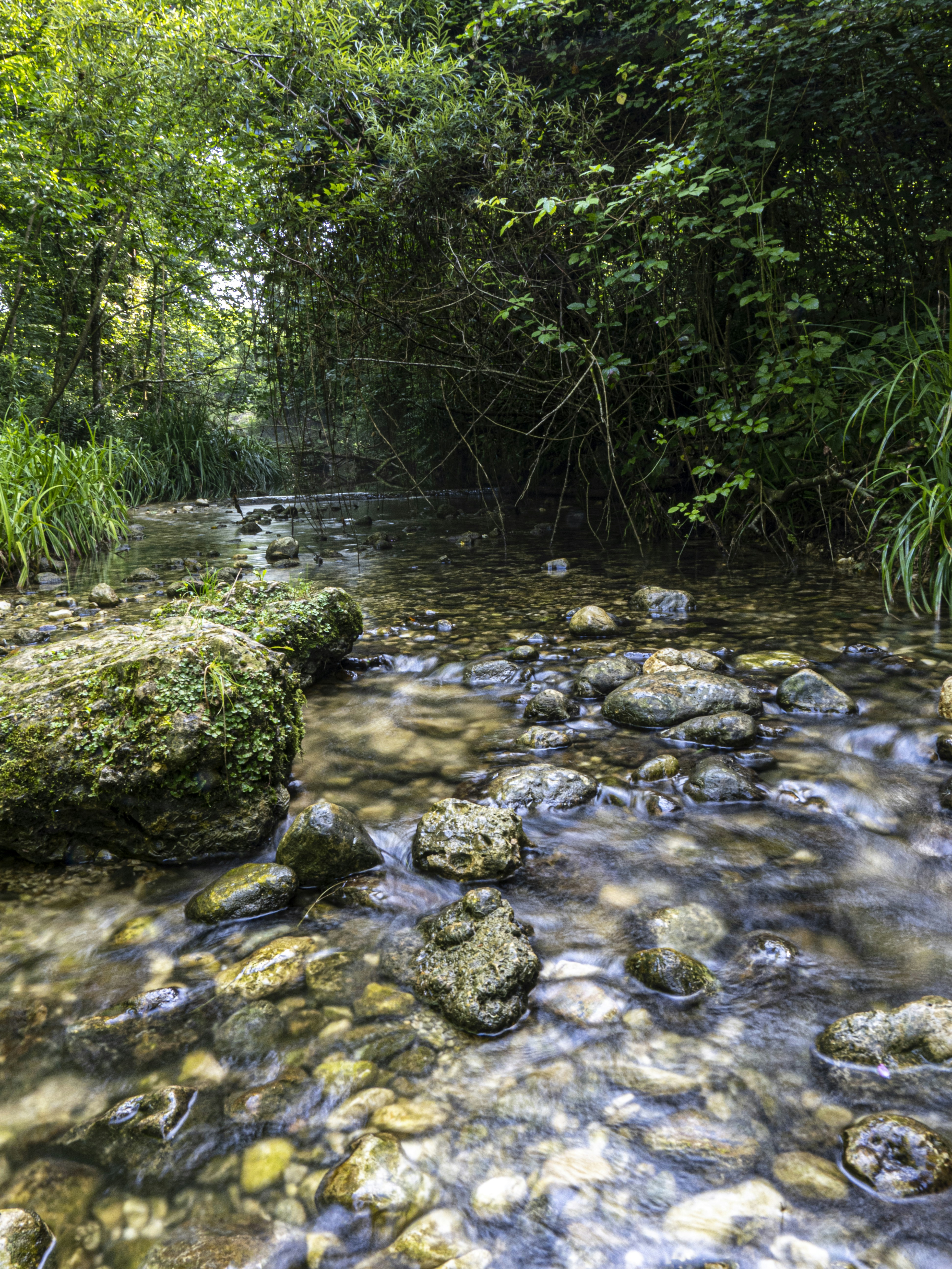 Photo by gopitri_prem