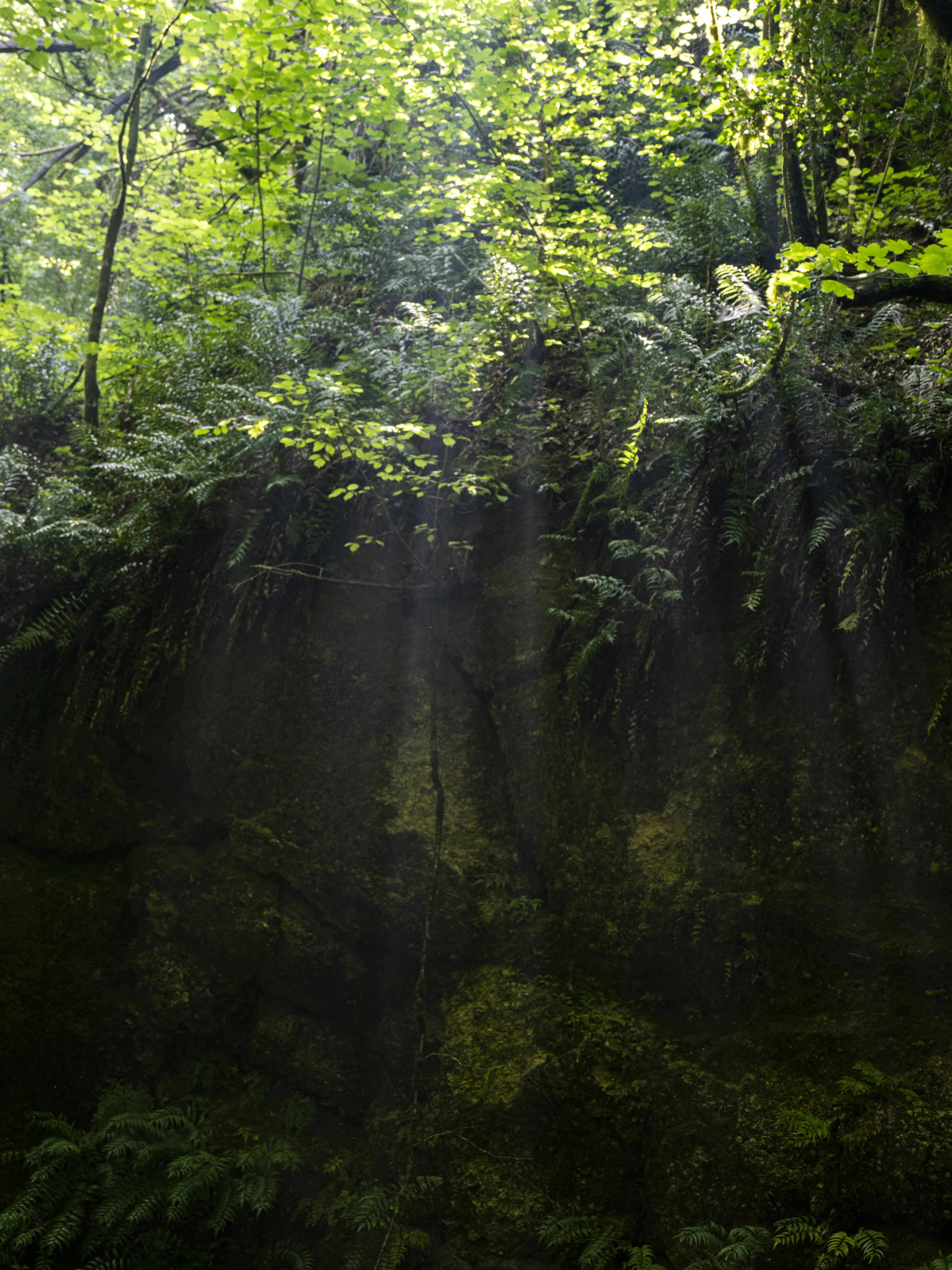 Photo by gopitri_prem