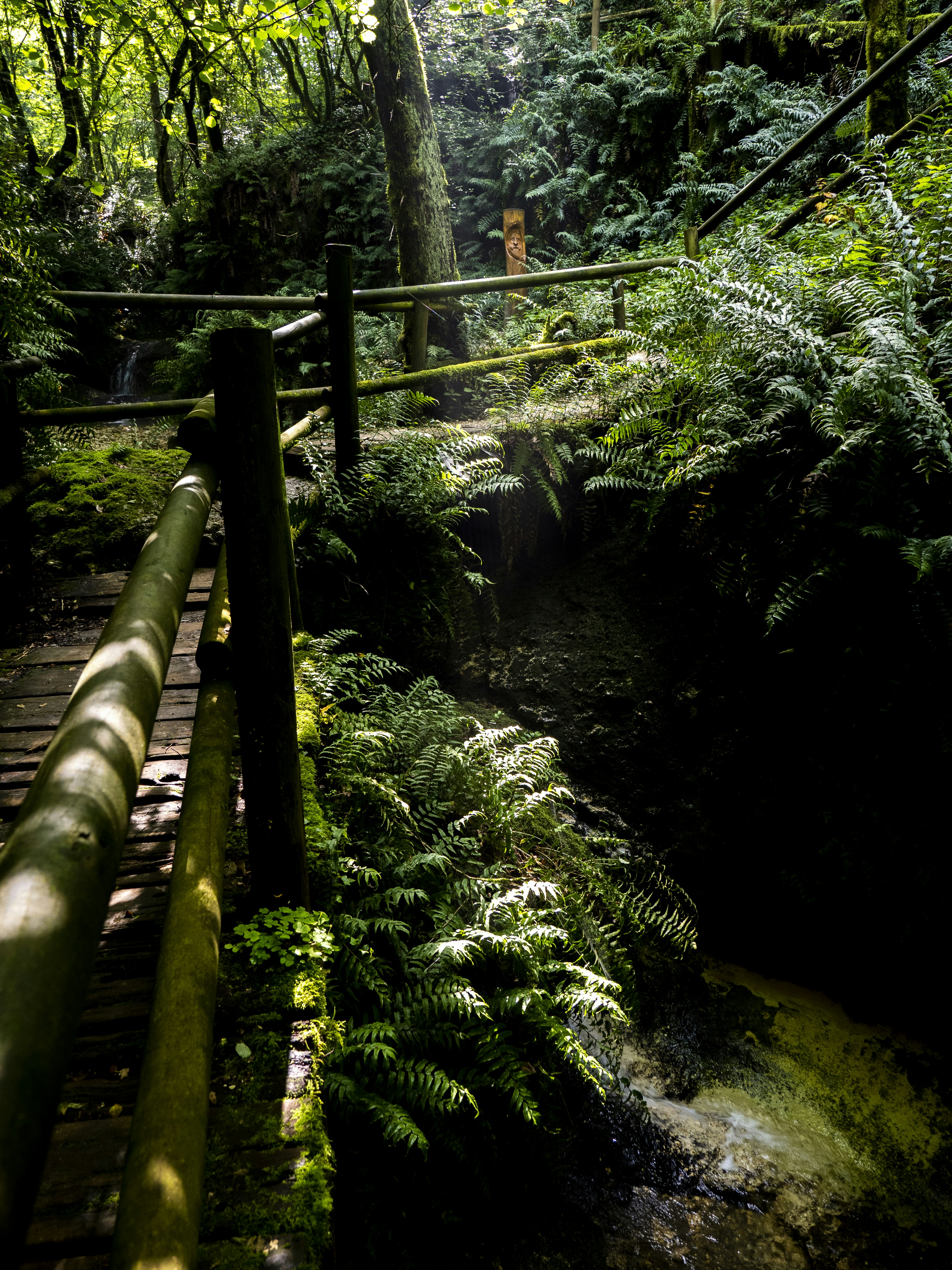 Photo by gopitri_prem