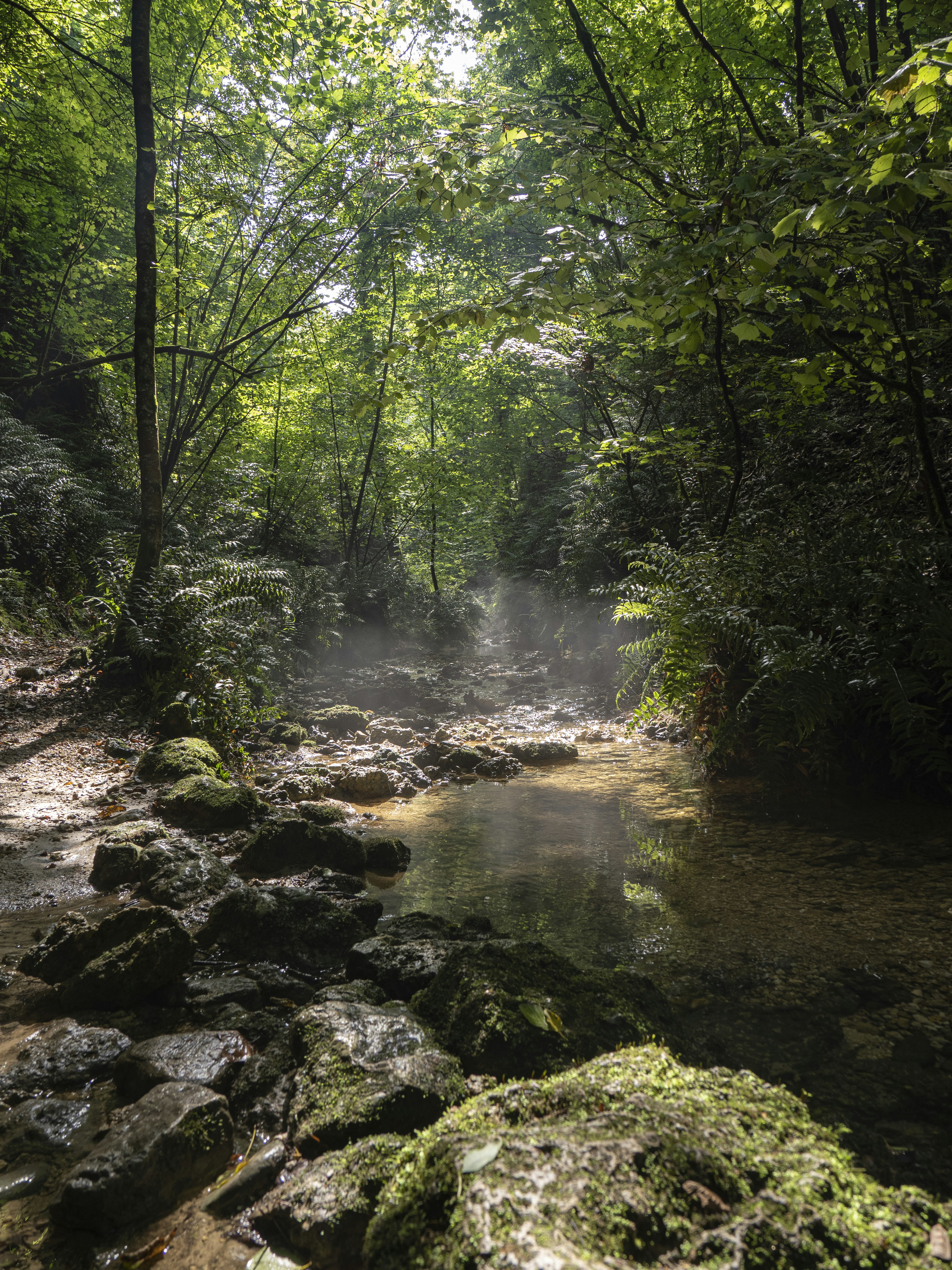 Photo by gopitri_prem