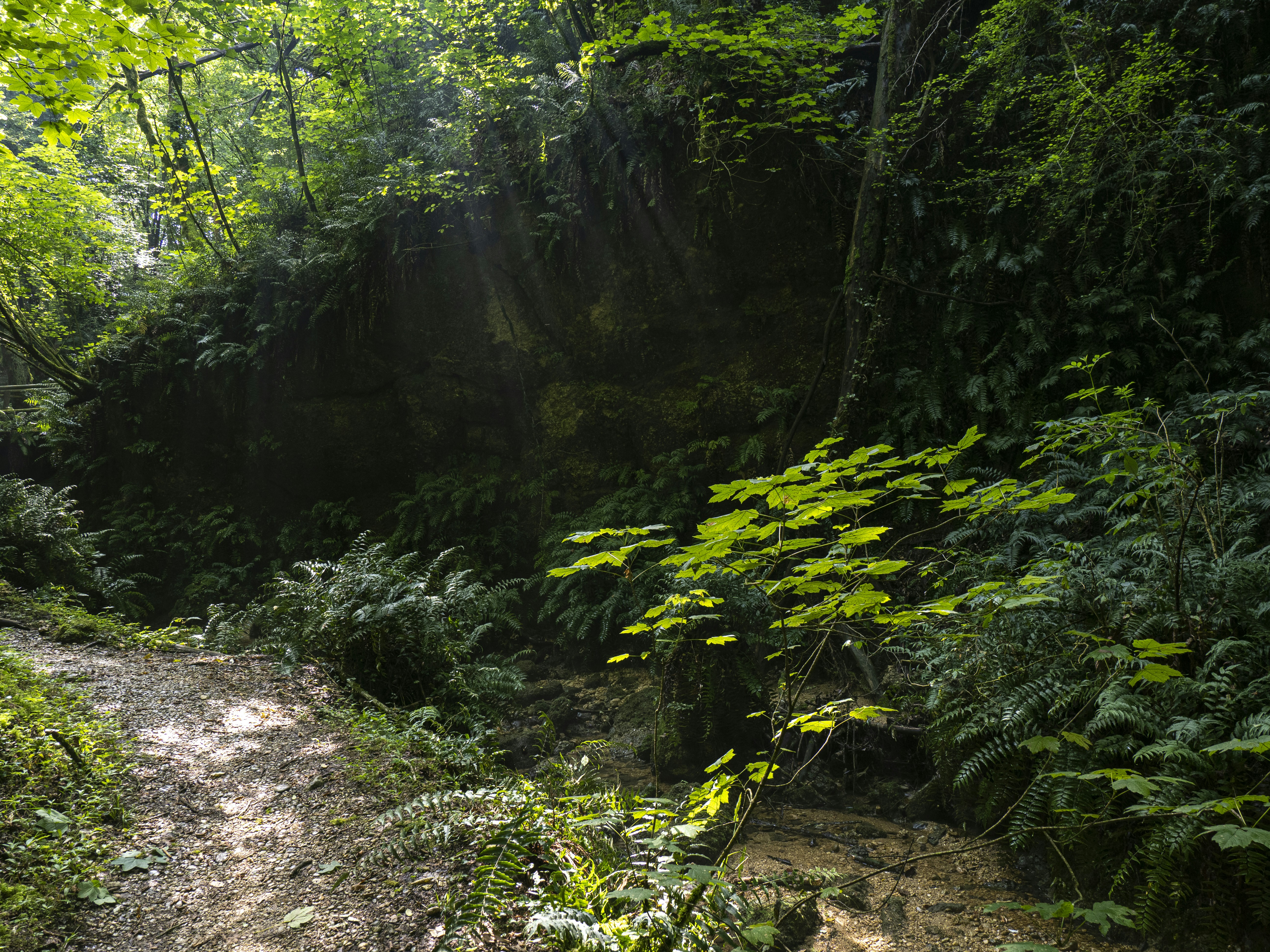 Photo by gopitri_prem