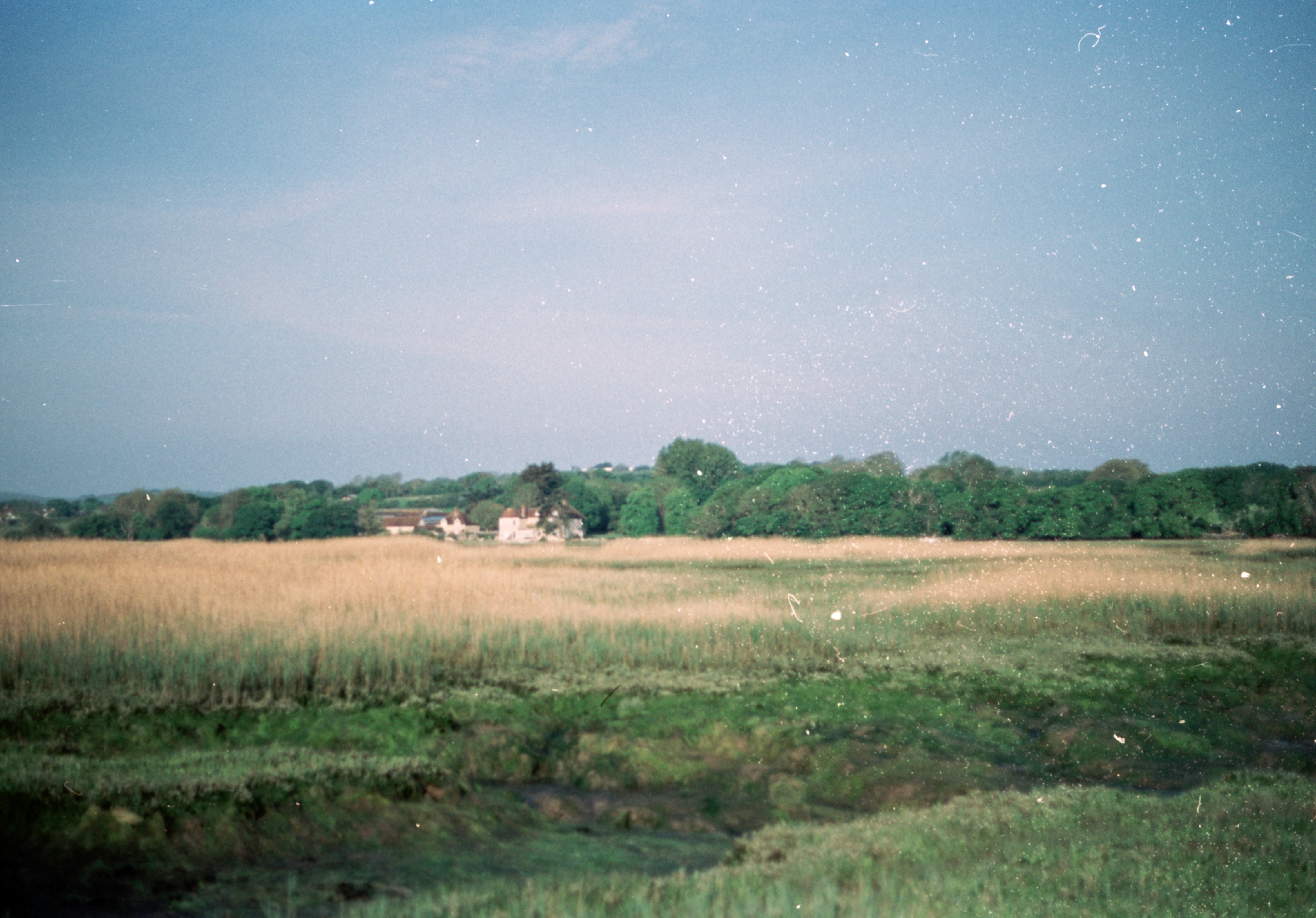 Photo by anniespratt