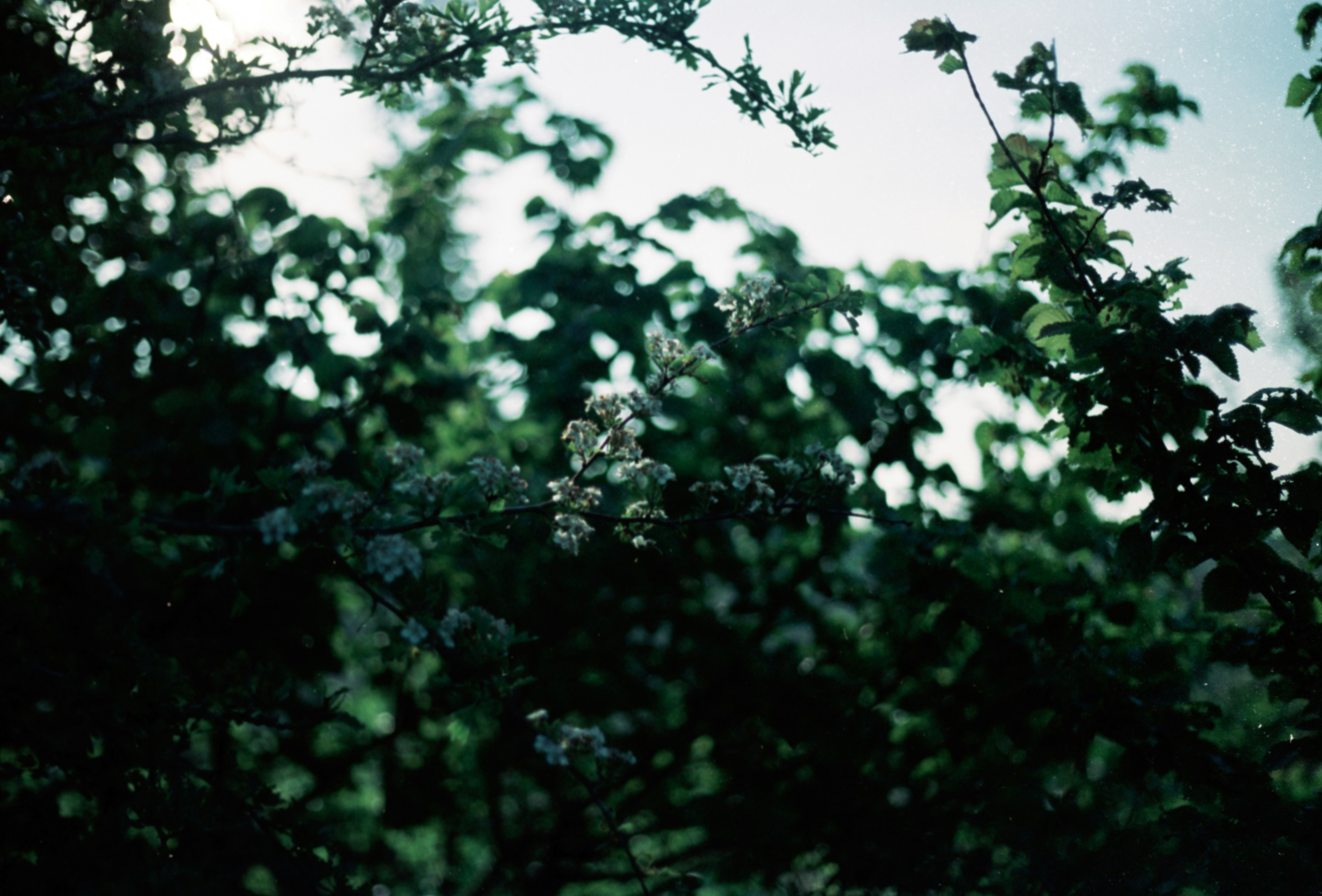 Photo by anniespratt