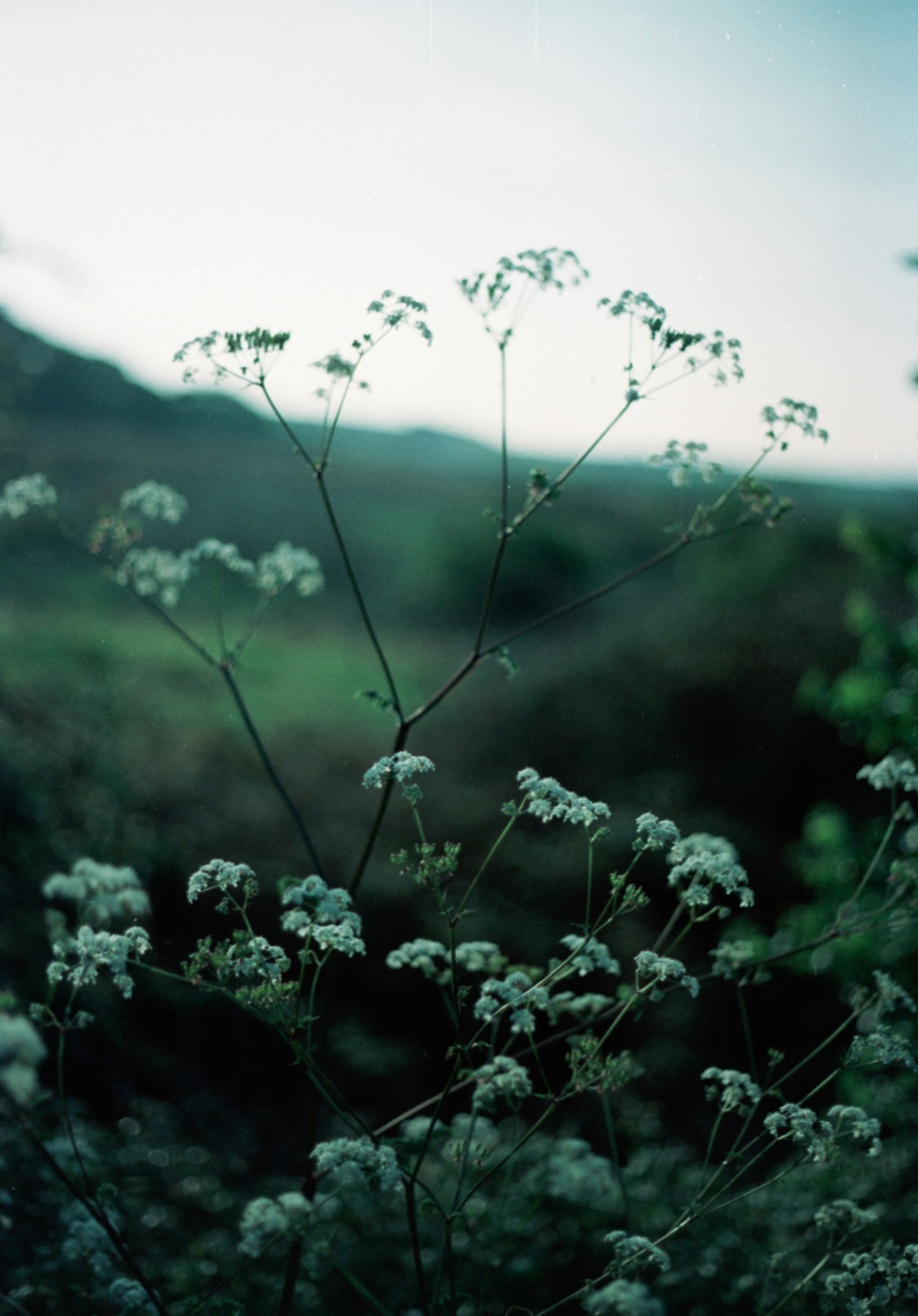 Photo by anniespratt