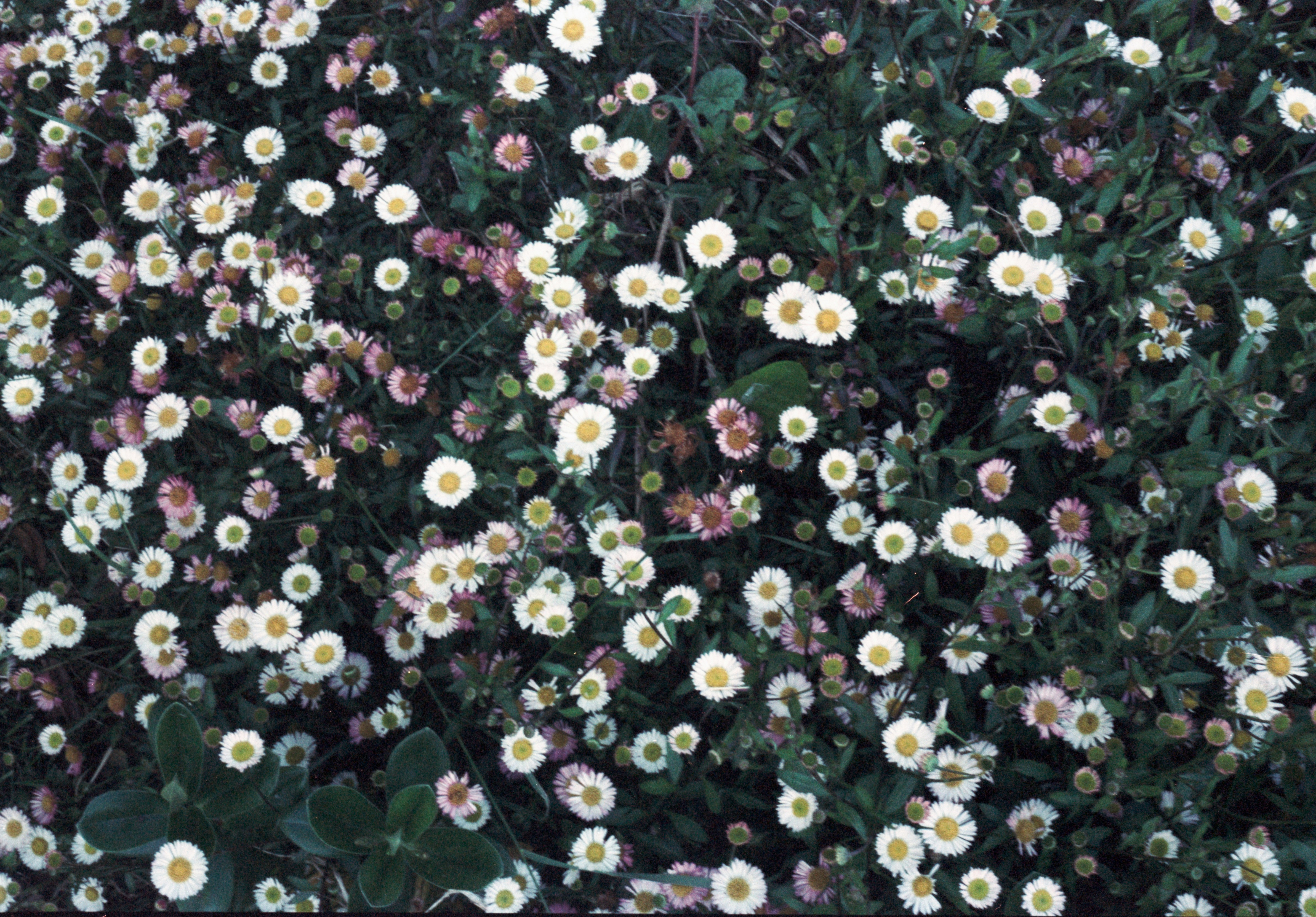 Photo by anniespratt