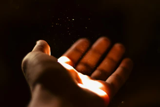 A person holding a hot dog in their hand
