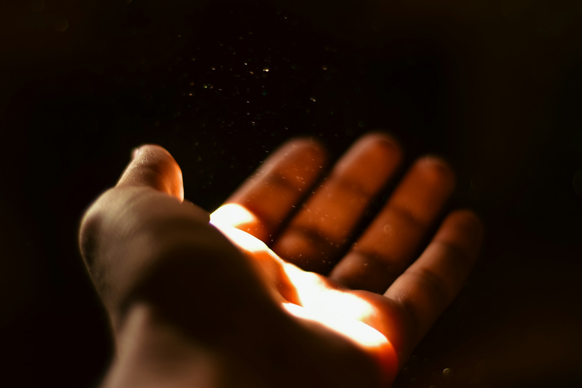 A person holding a hot dog in their hand