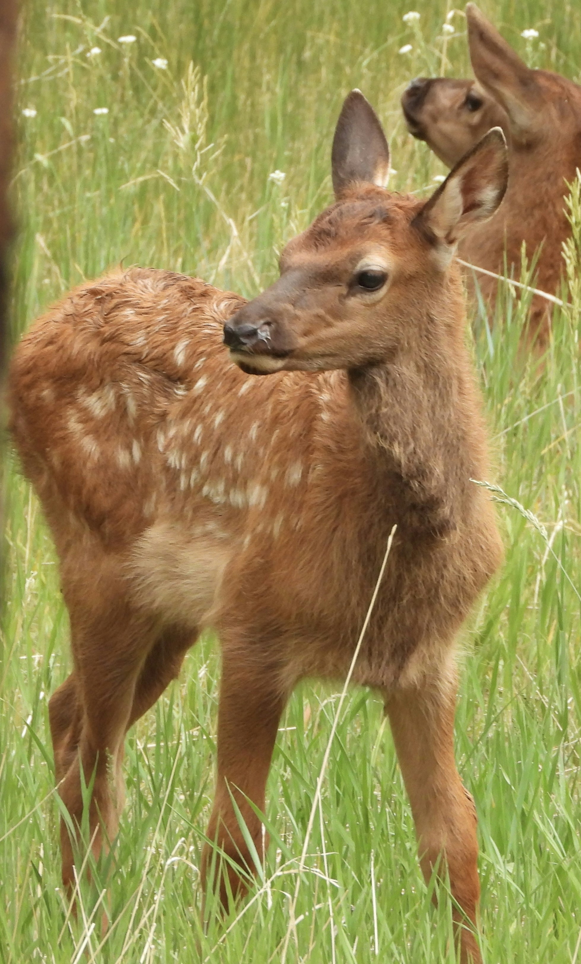 Photo by evergreene24