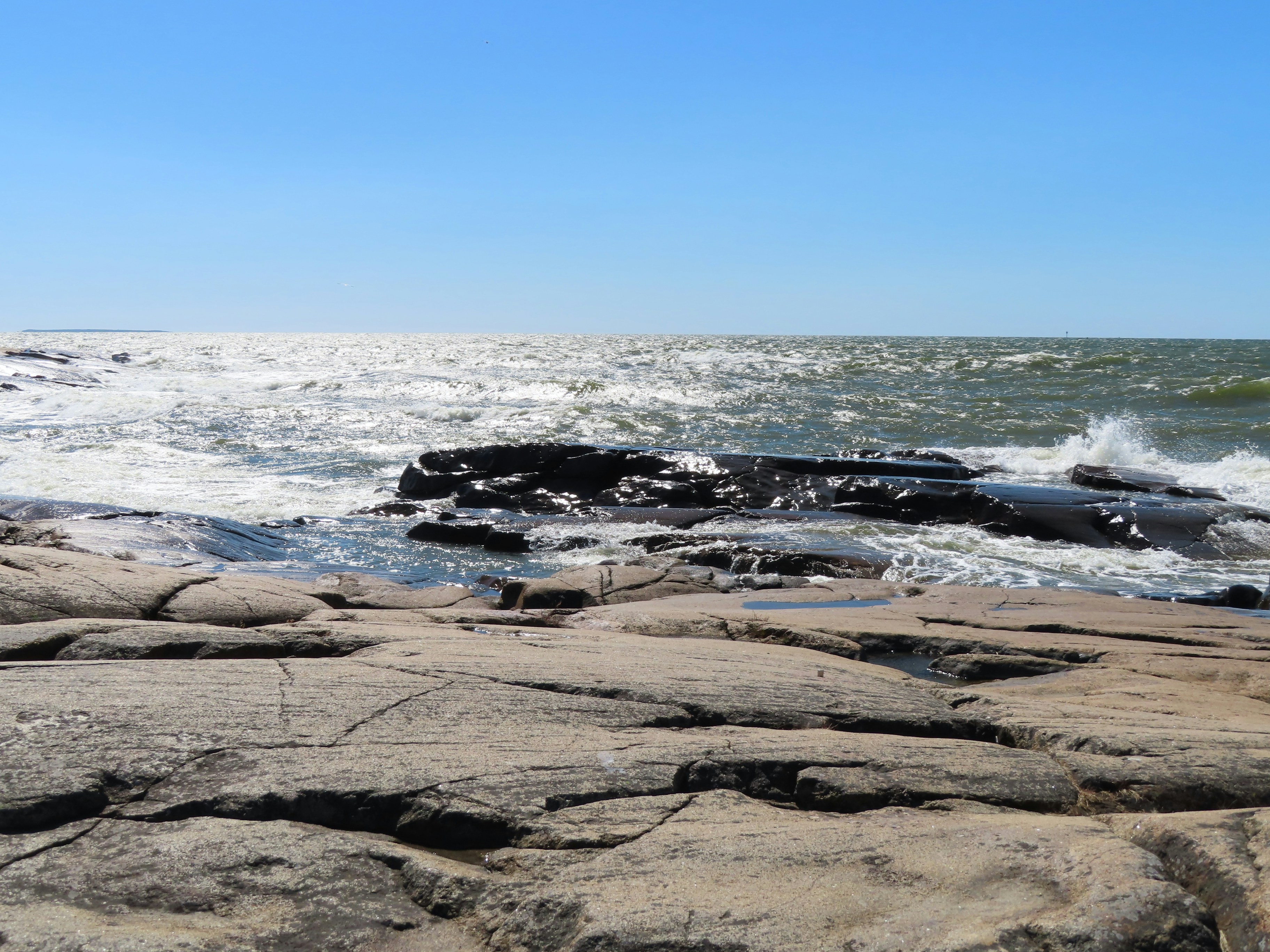 Photo by northernpagan