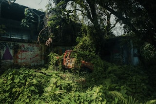 A large pile of green plants next to a building