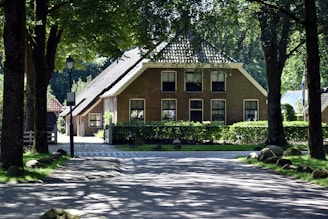 A house in the middle of a road surrounded by trees