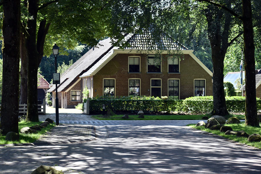 Huis tussen de bomen aan een landweg