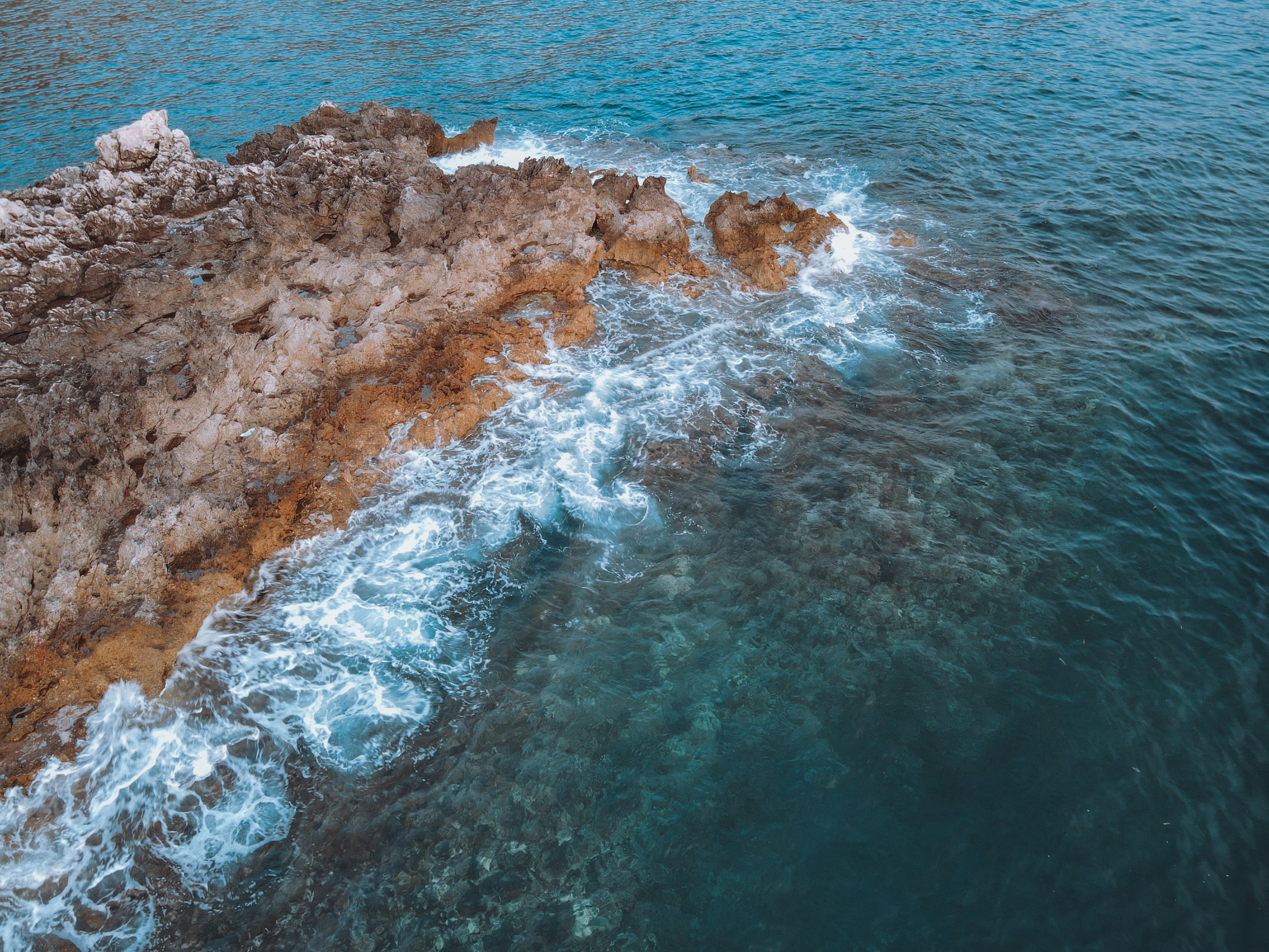 Photo by francesco_ungaro