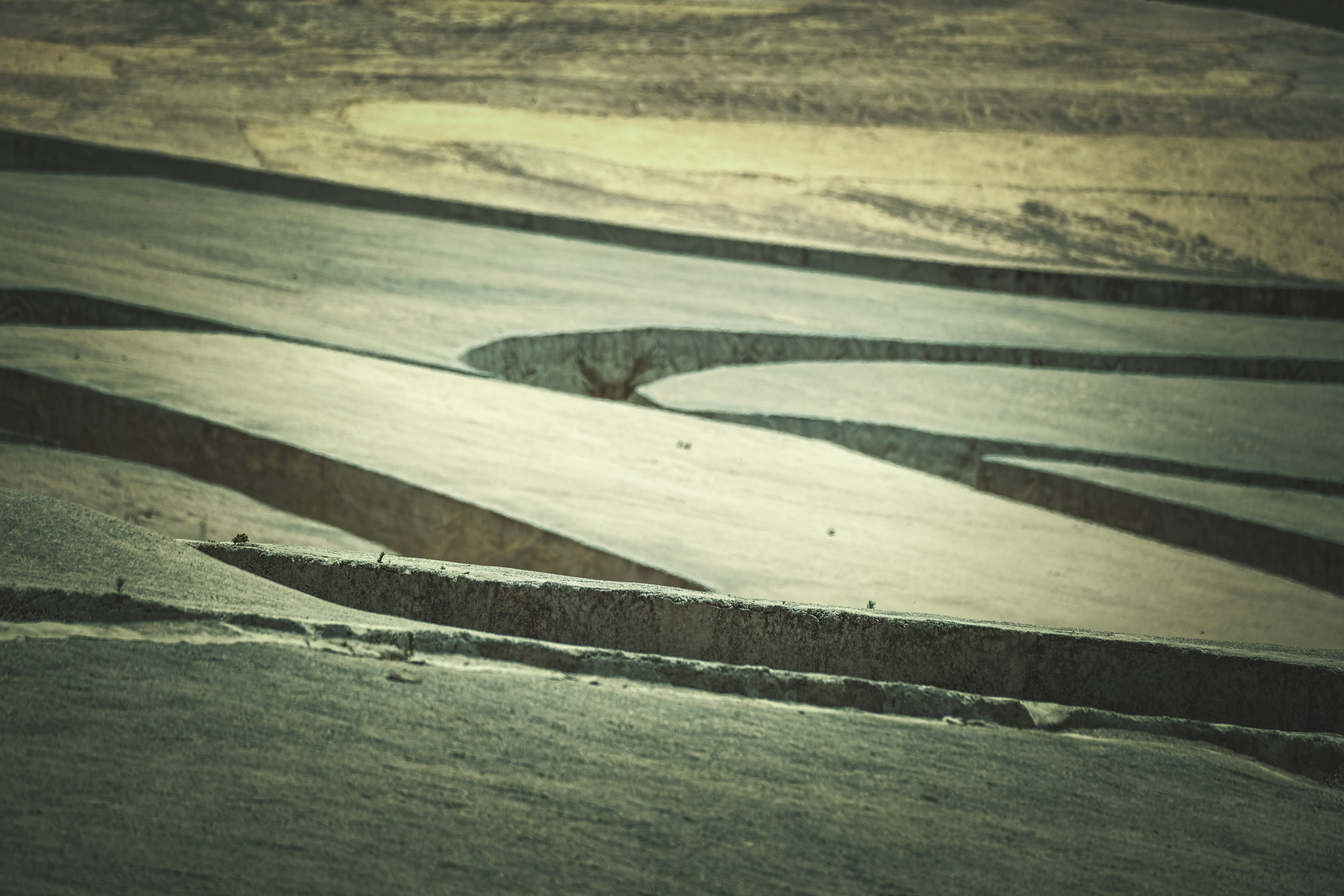 Photo by francesco_ungaro