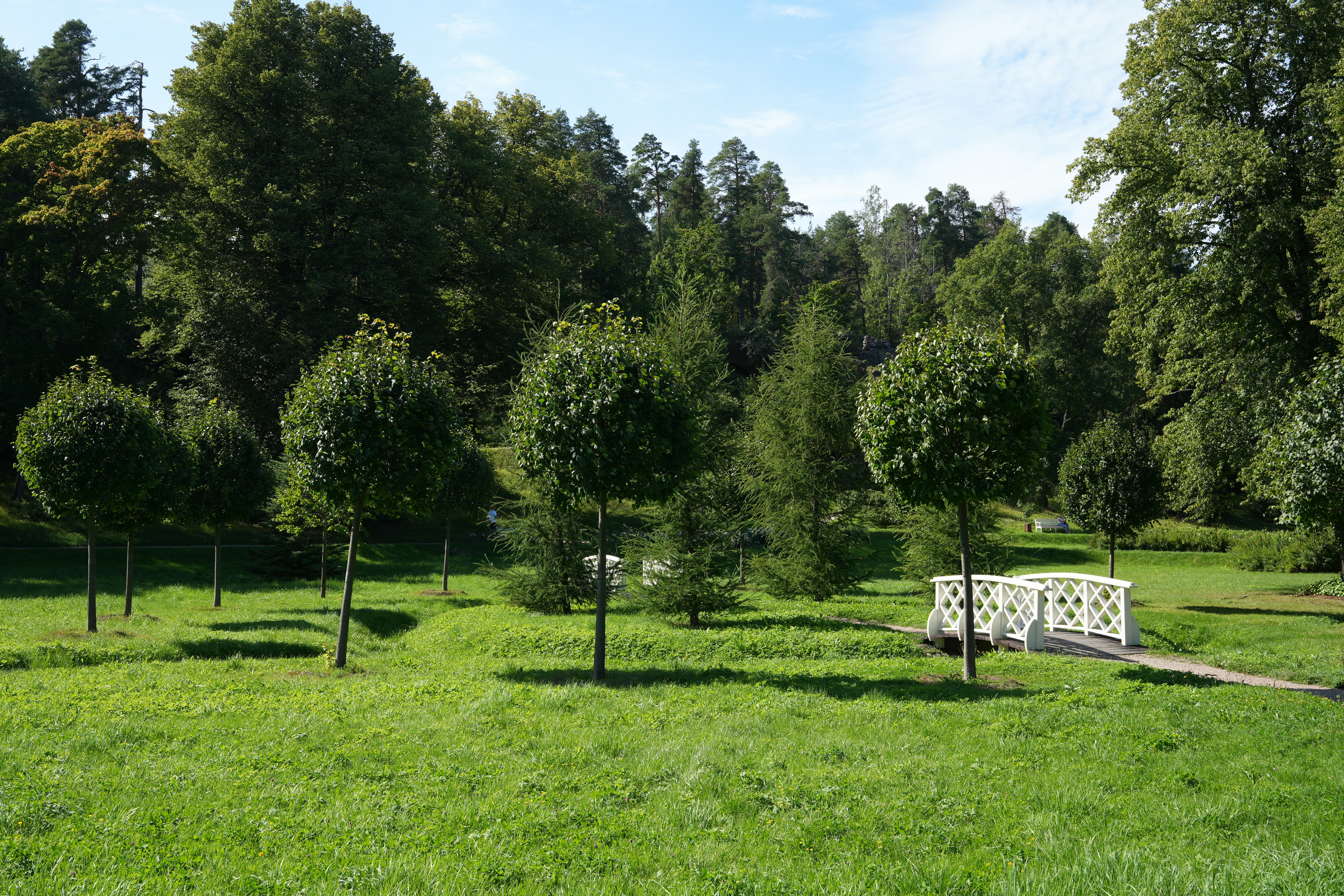 green park landscape, wallpaper, Volunteer for Park Maintenance: Best Ways to Help 4