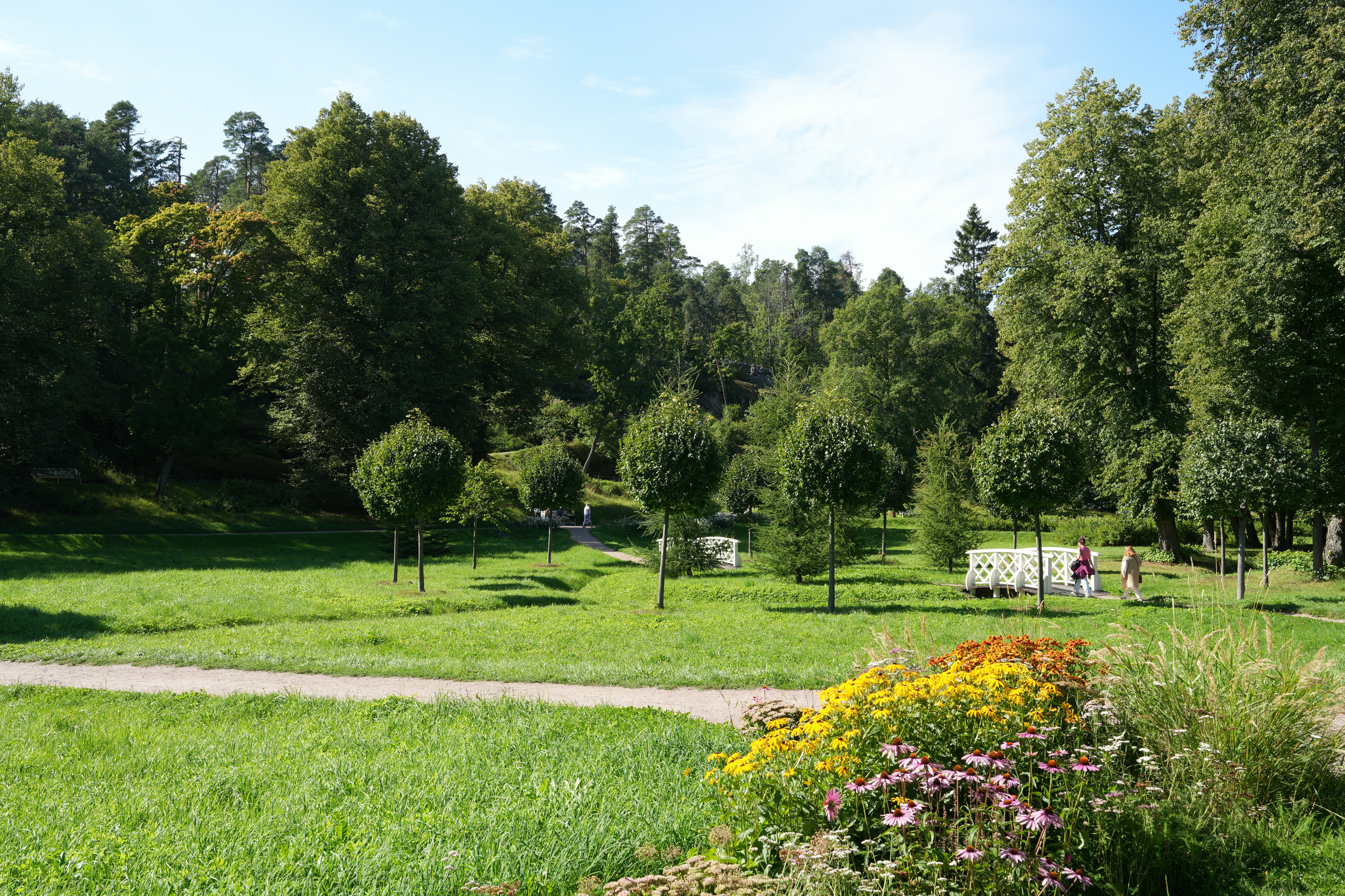 Image by Vadim Shevyrin via Unsplash