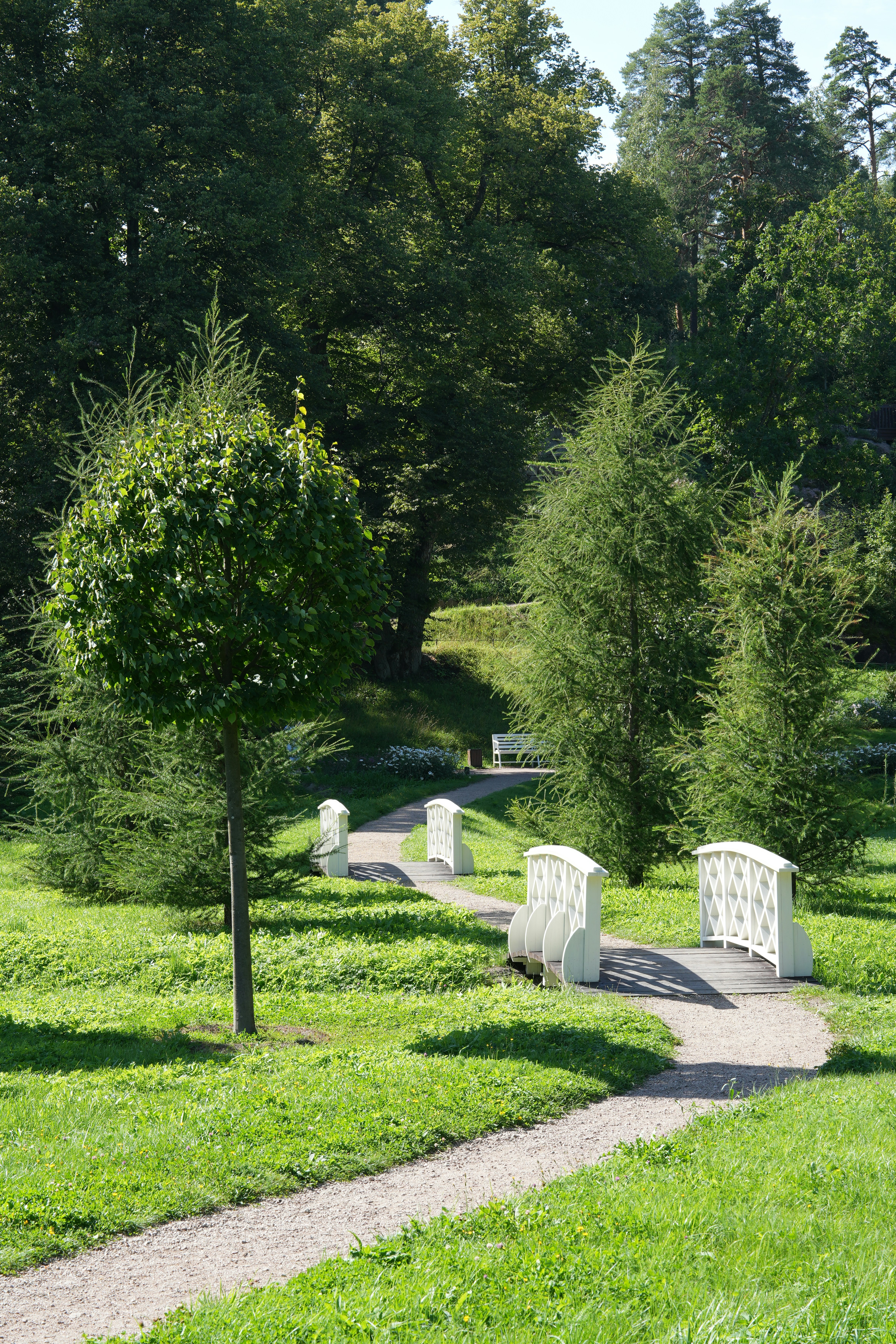 green park landscape, wallpaper, Volunteer for Park Maintenance: Best Ways to Help 5