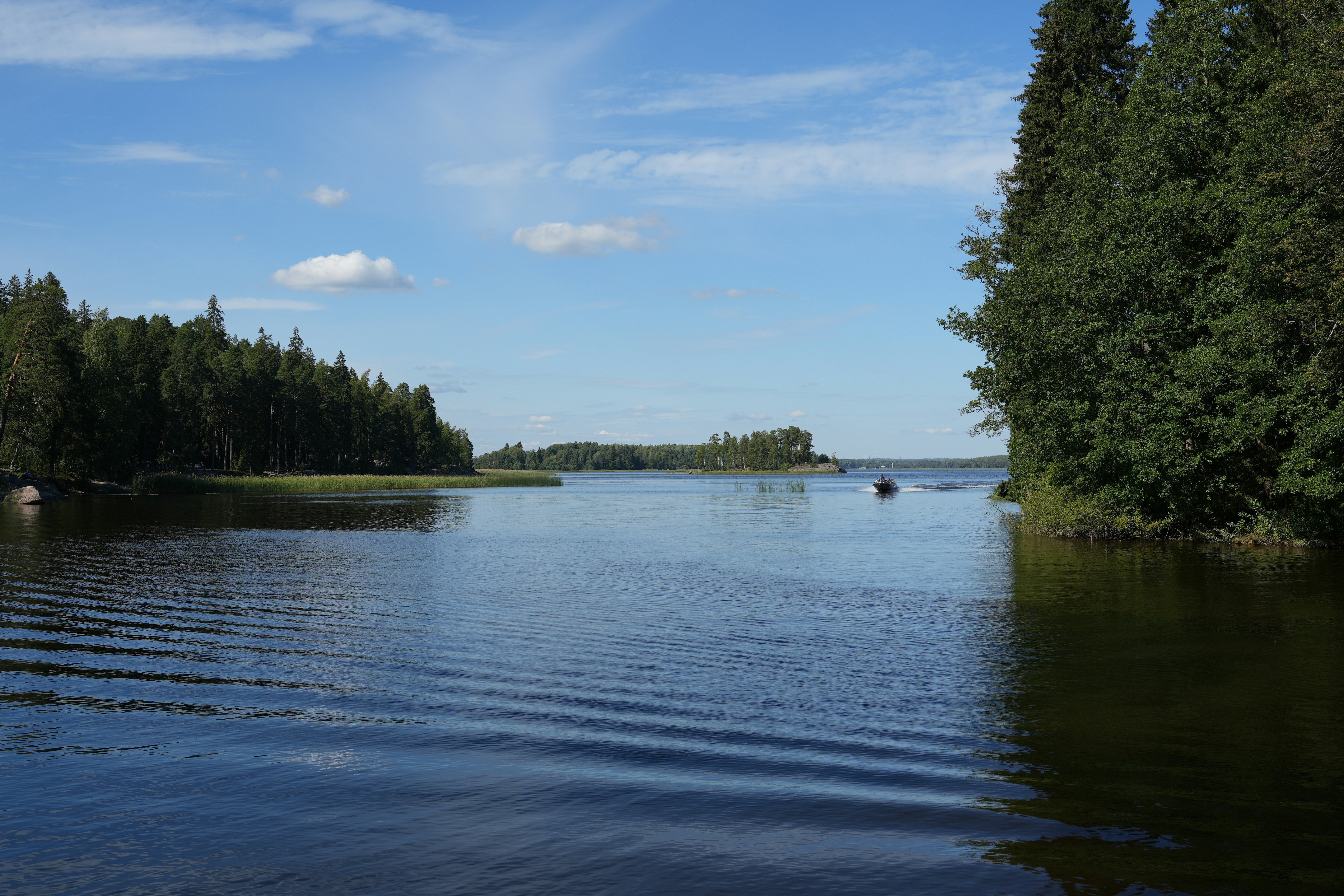 Photo by vadim_shevyrin