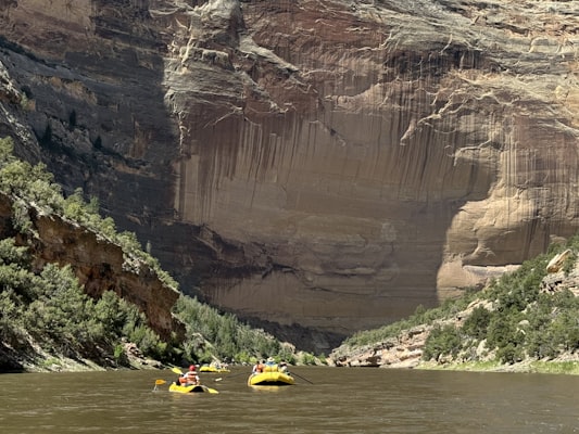 Group rafting down a whitewater river